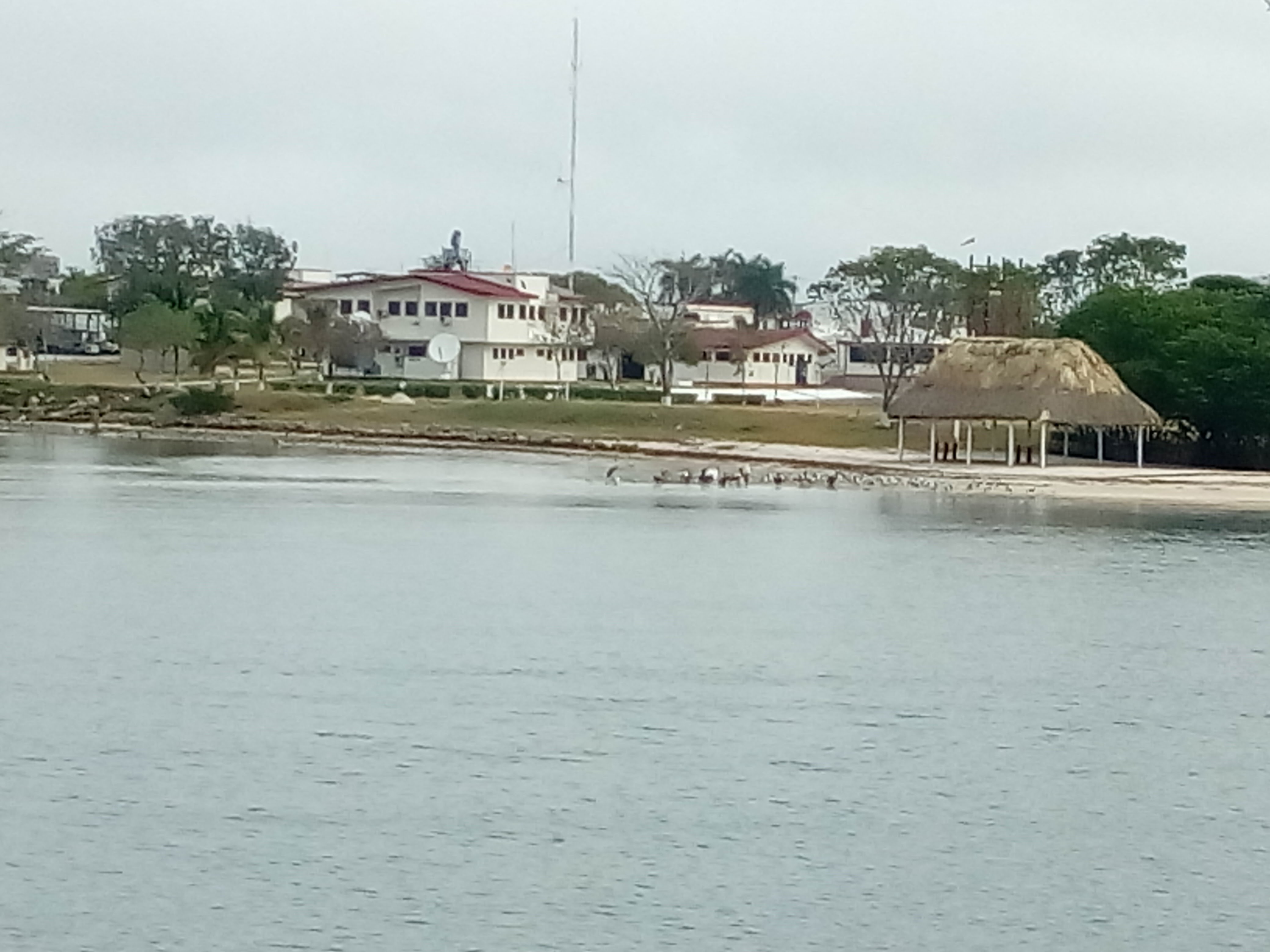 Restaurante Los Delfines image 8