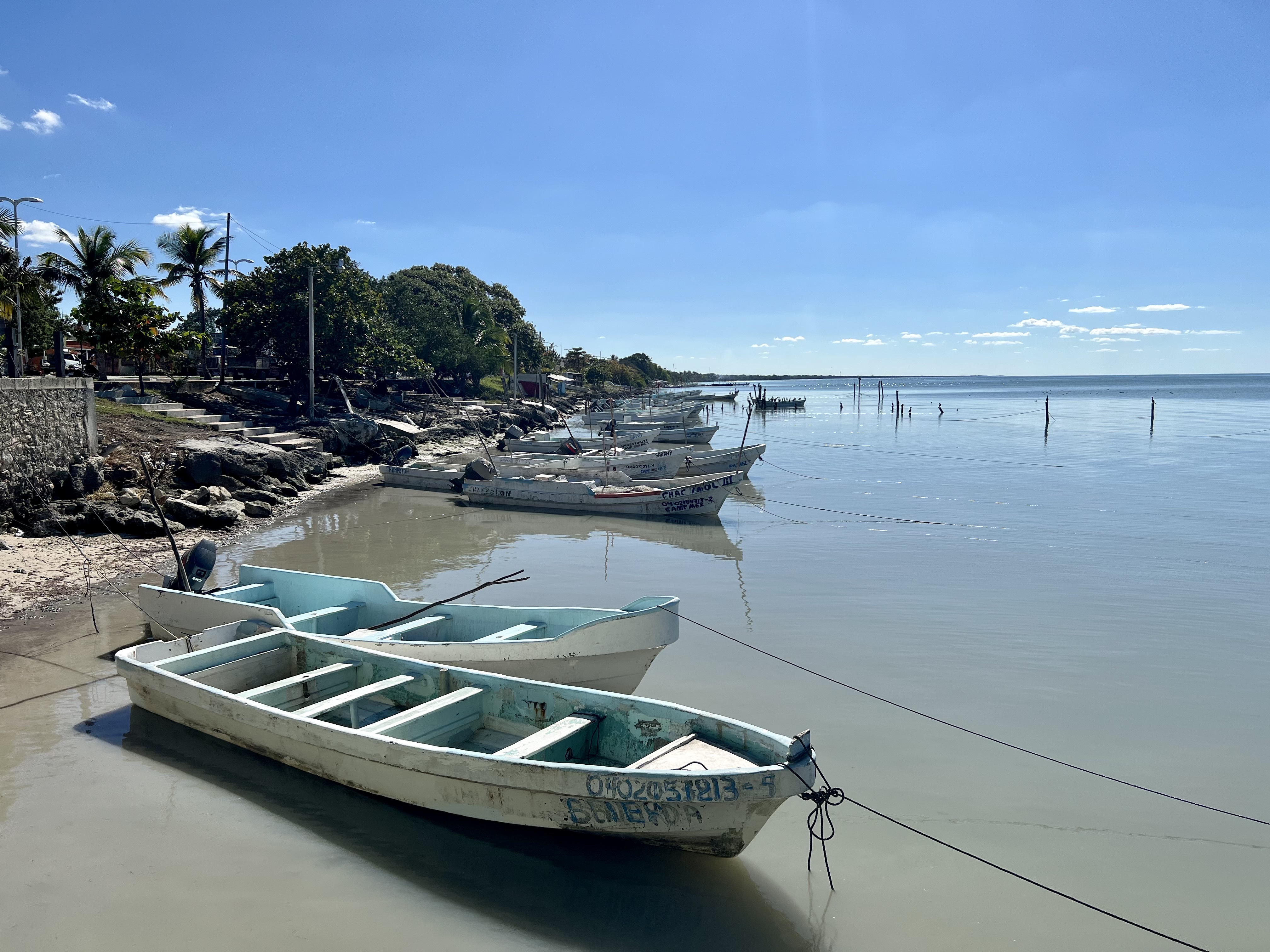 RESTAURANT Y COCKTELERIA EMMANUEL image 7