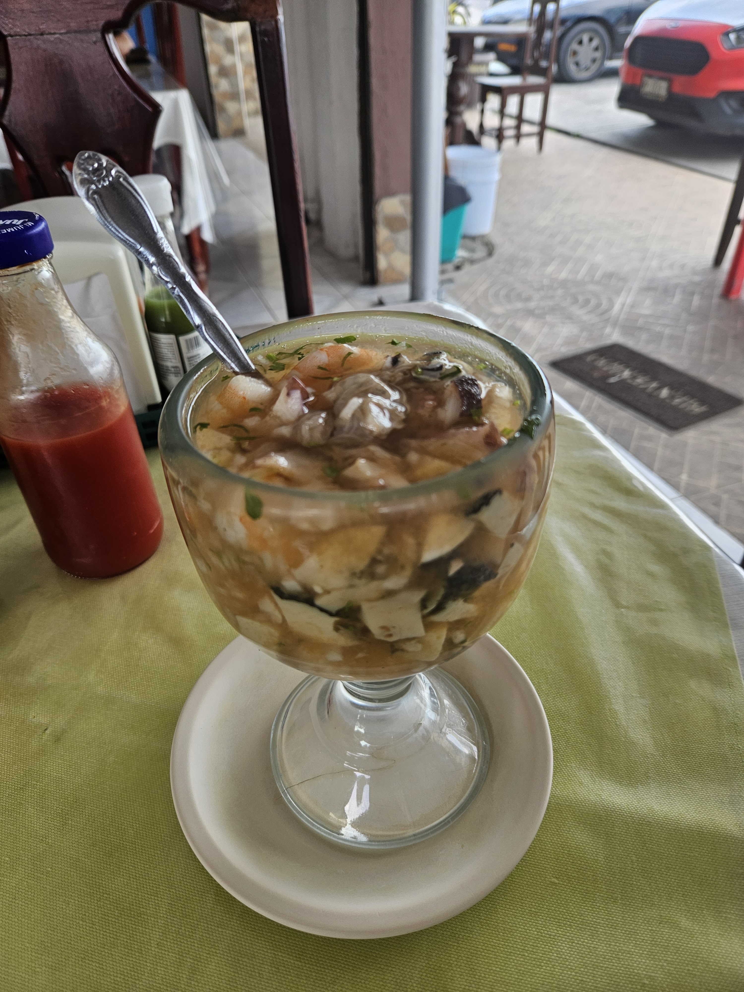 EL PASO DEL VIAJERO image 3