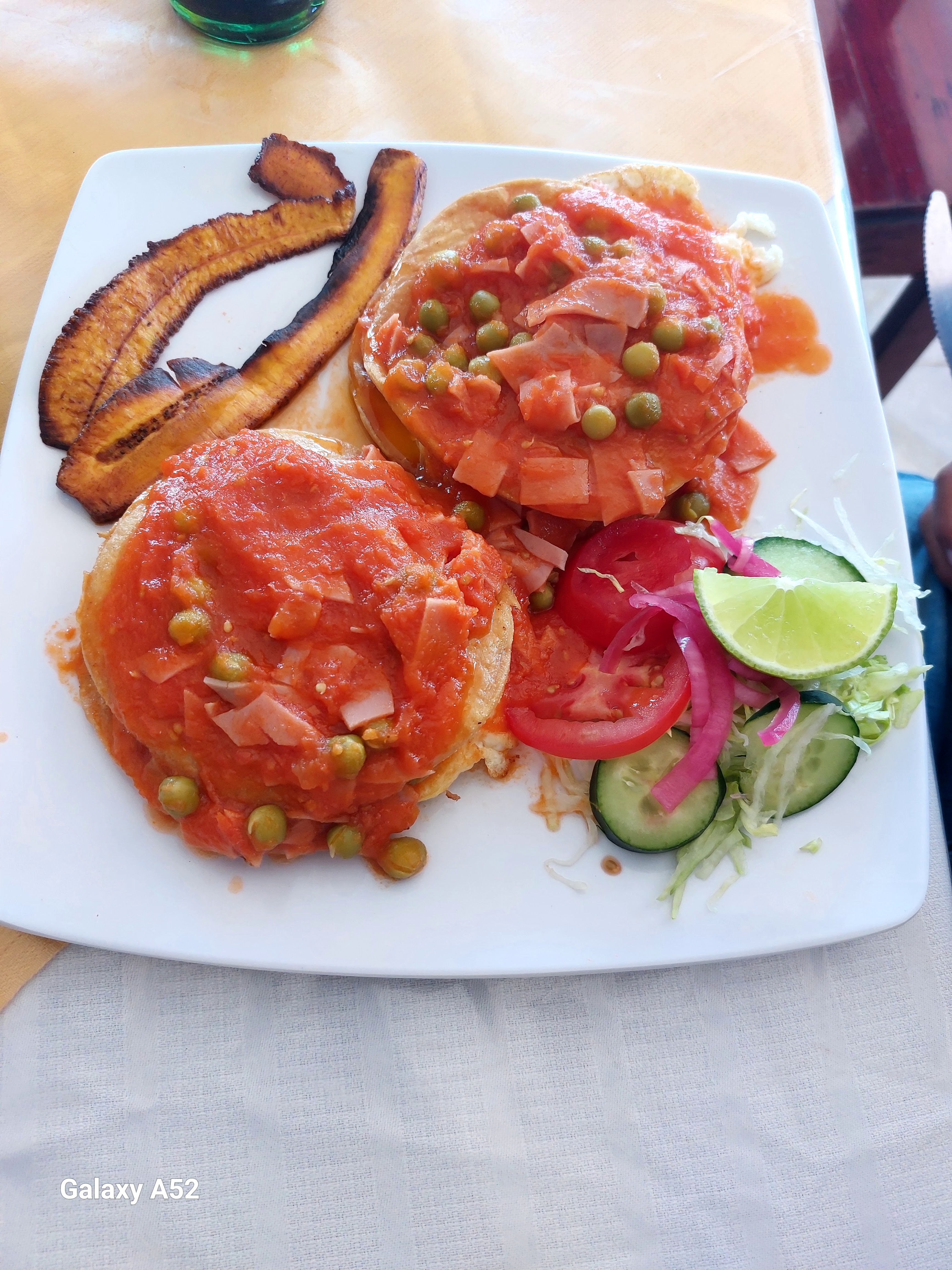 EL PASO DEL VIAJERO image 5