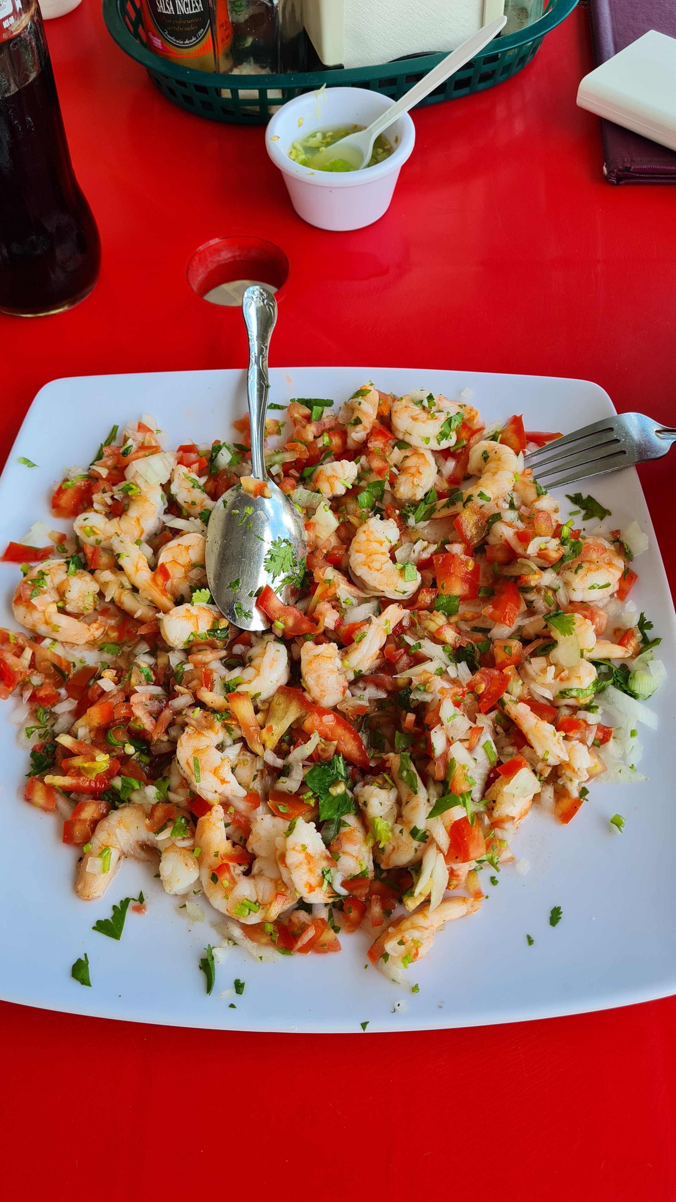 EL PASO DEL VIAJERO image 9