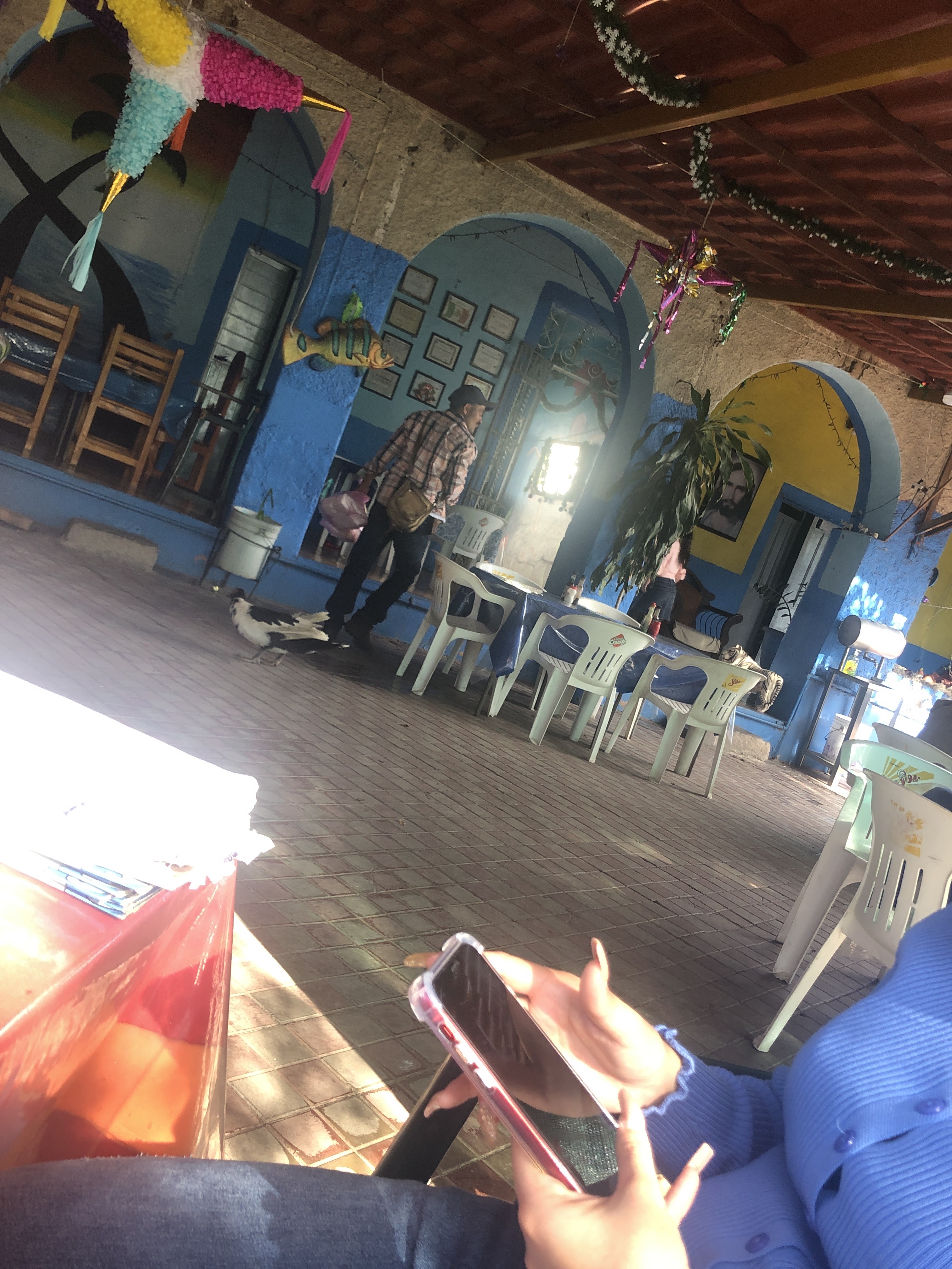 mariscos junior image 5