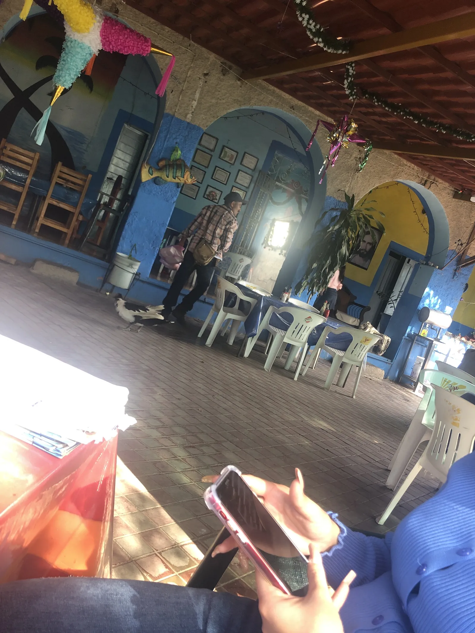 mariscos junior image 5