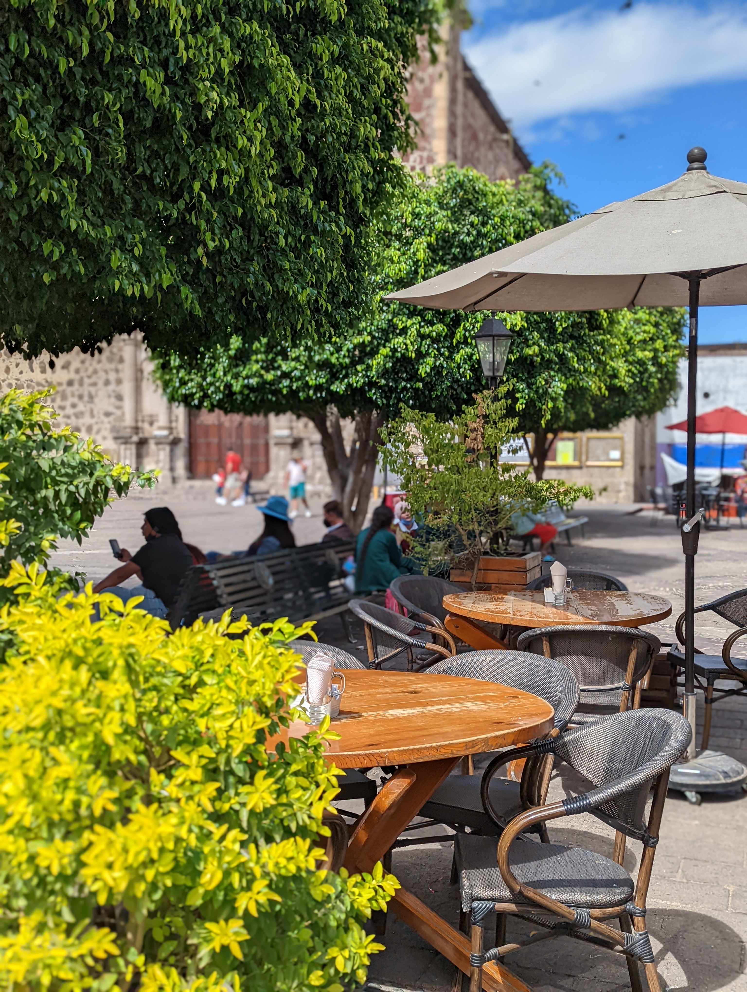 Café El Palomar image 1