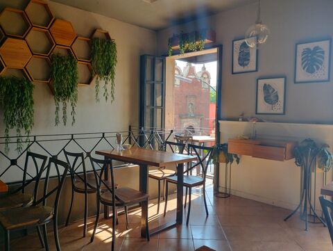 Café El Palomar image 8
