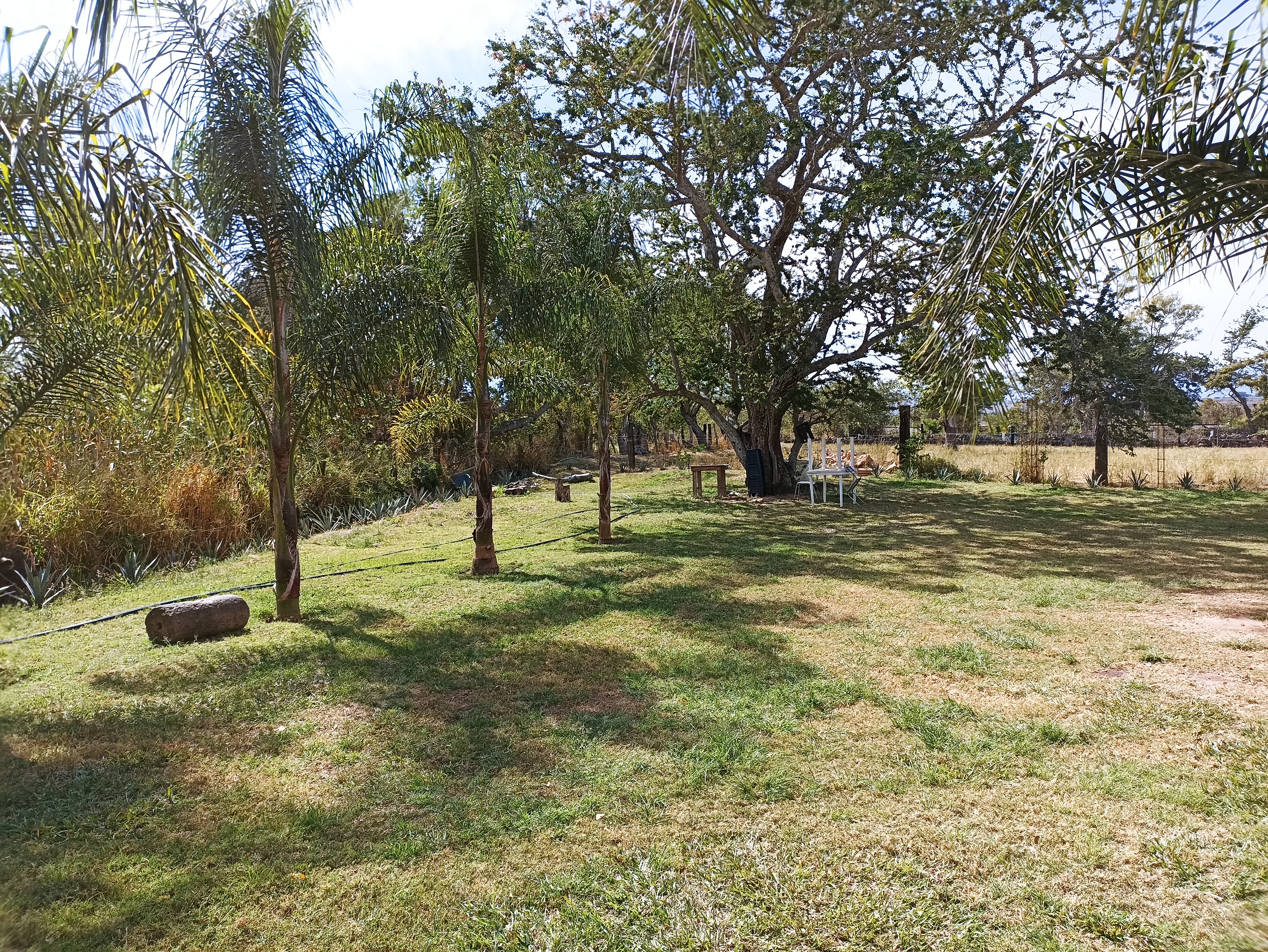 Mariscos migue image 2