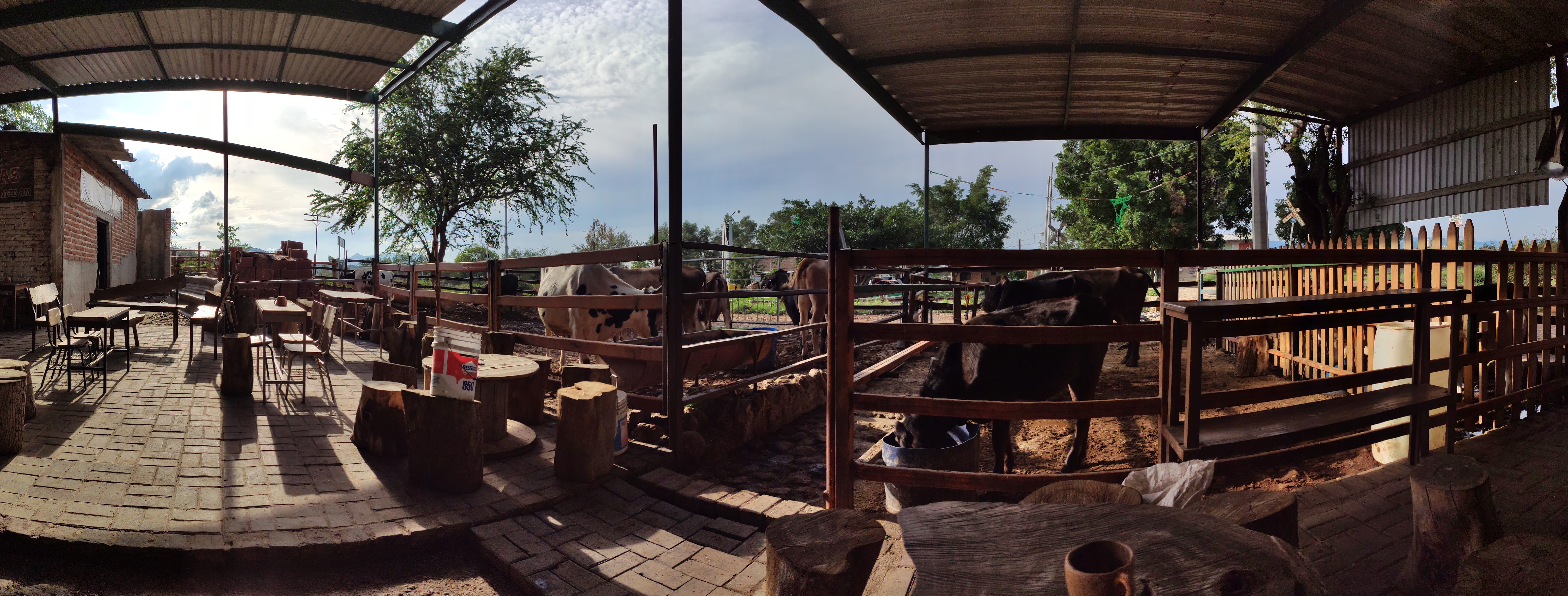 Pajaretes Contreras Original Tequila image 1