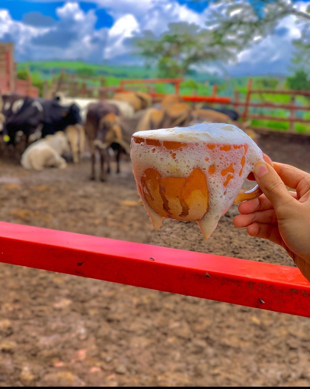 Pajaretes Contreras Original Tequila image 2