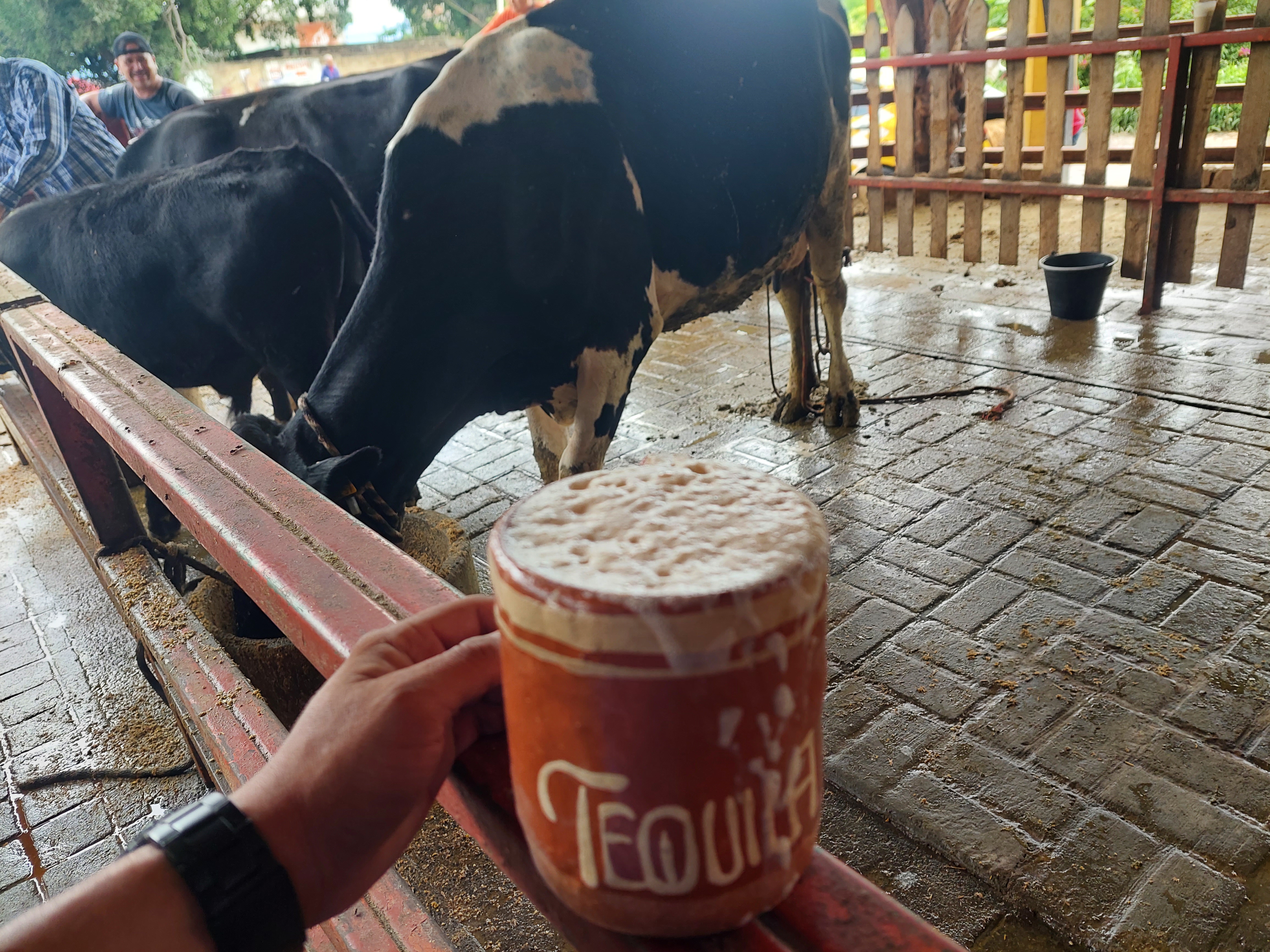 Pajaretes Contreras Original Tequila image 5