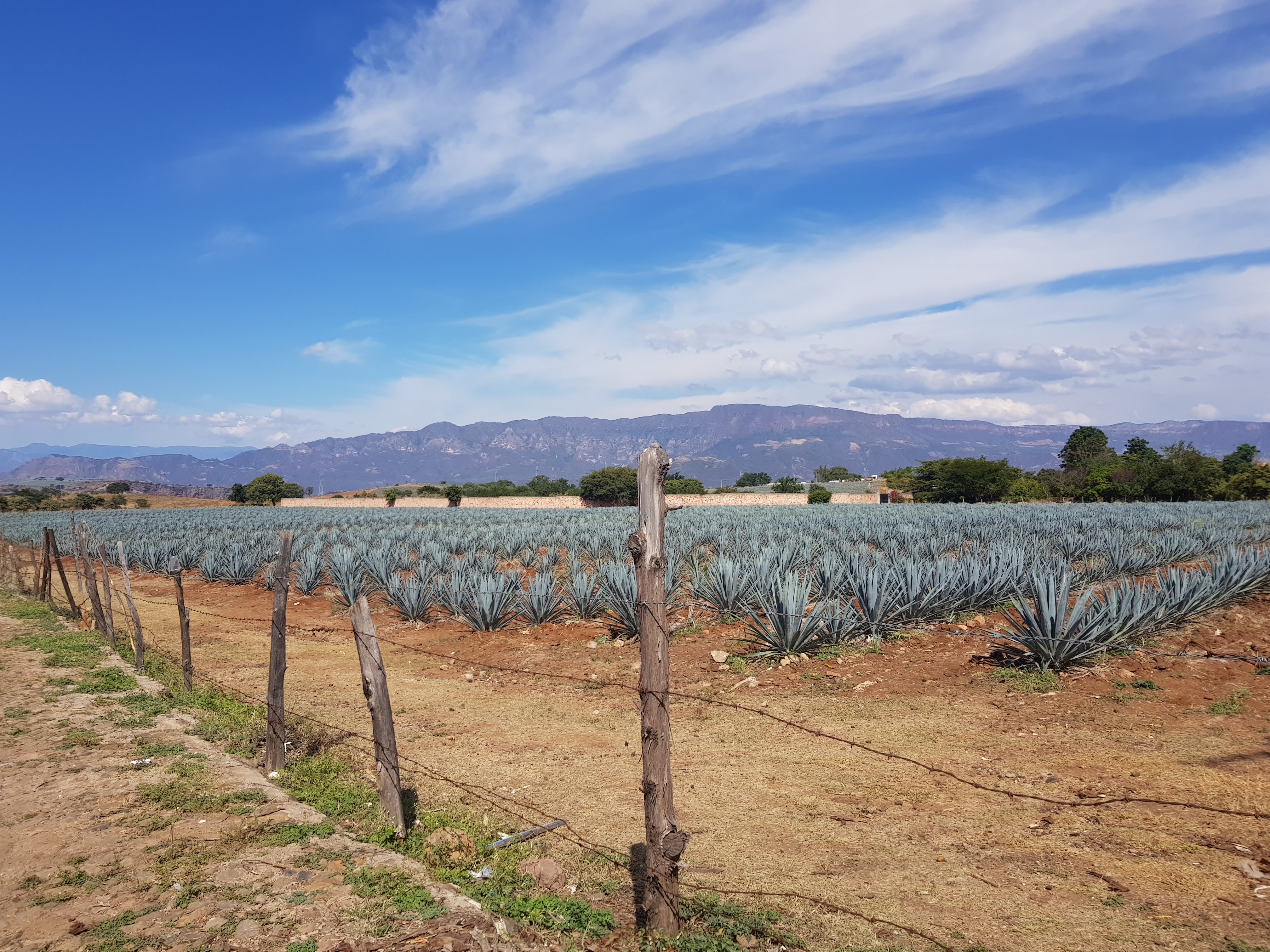 mariscos el culichi image 4