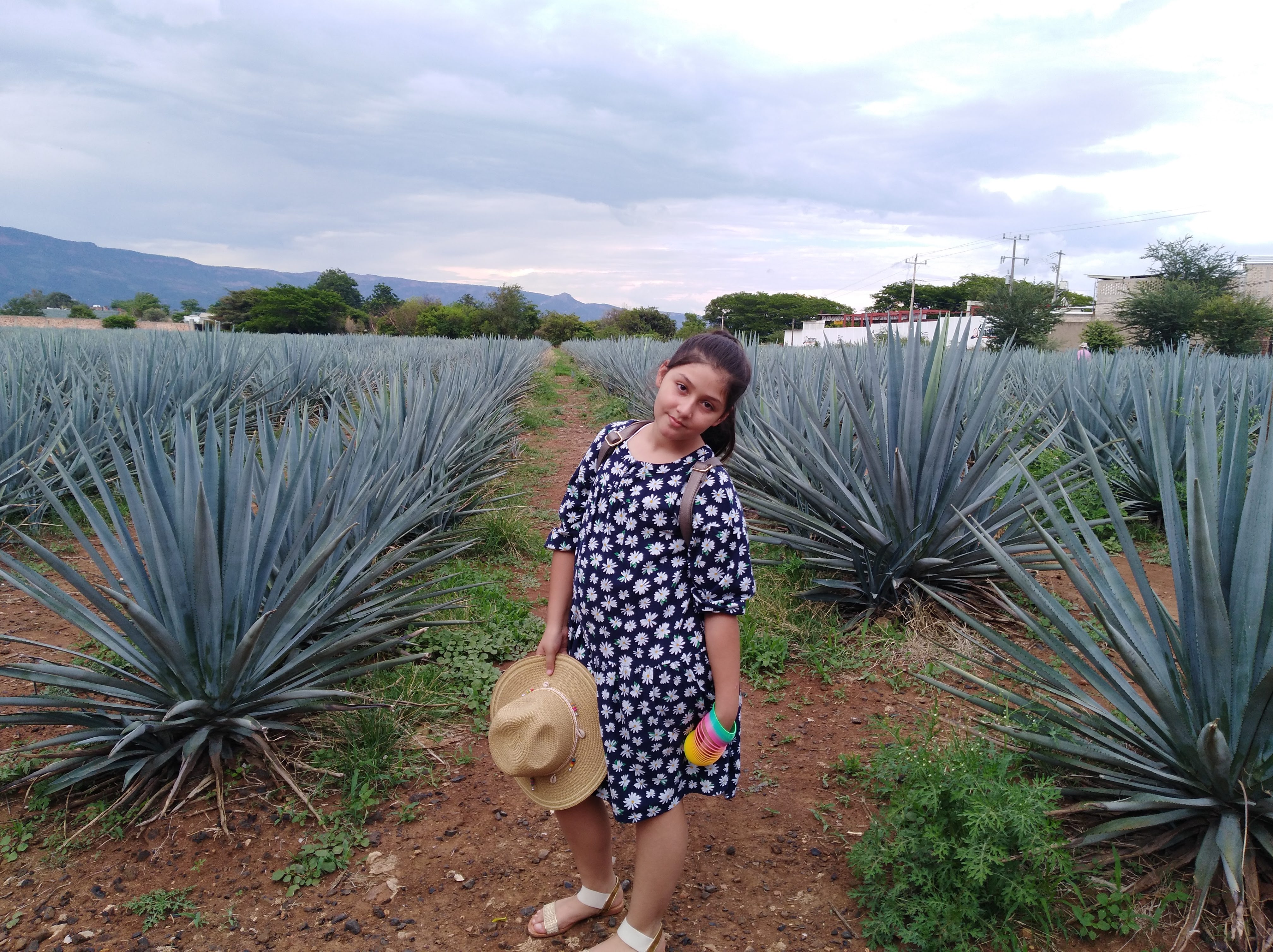 mariscos el culichi image 8