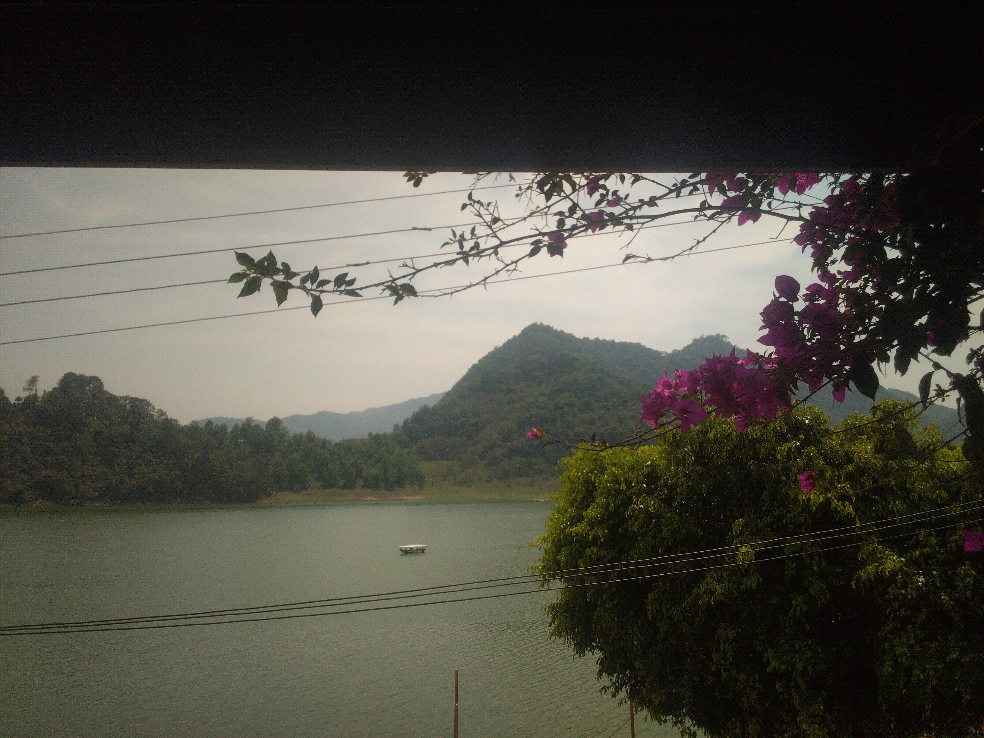 MARISCOS EL TIZOC image 3