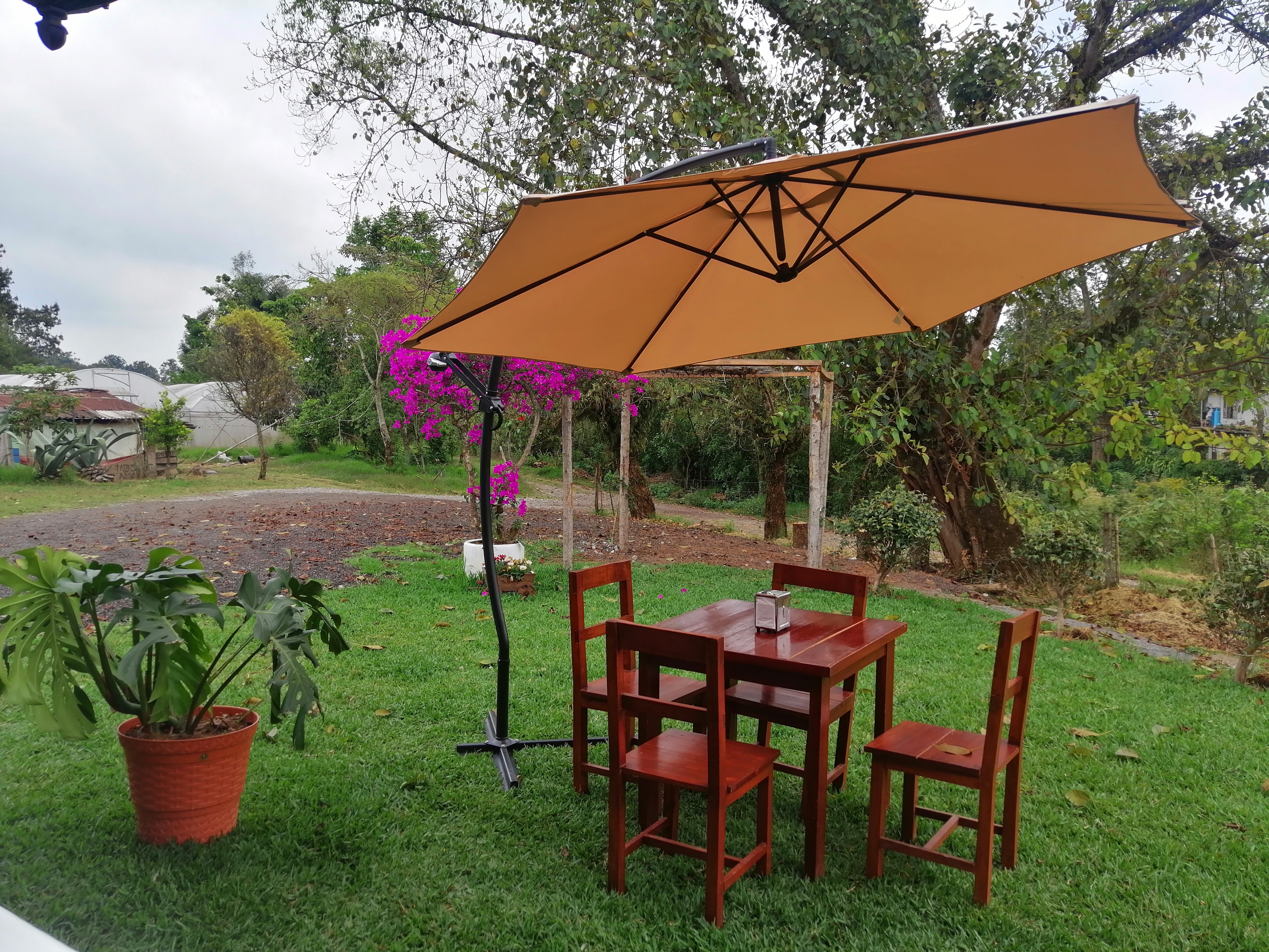 La vía del Ferrocarril image 1