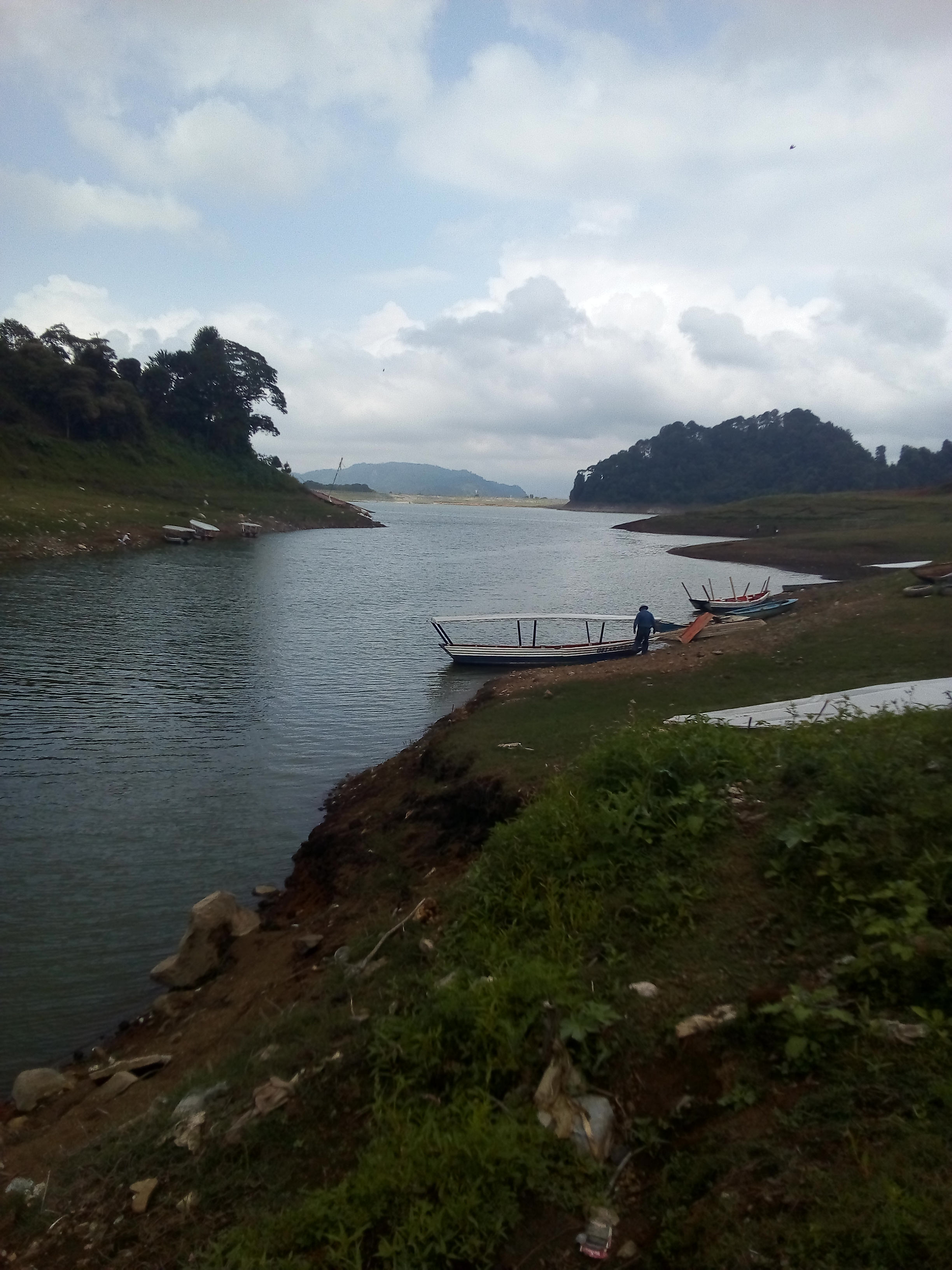 Mojarra y Carpa Fresca image 1