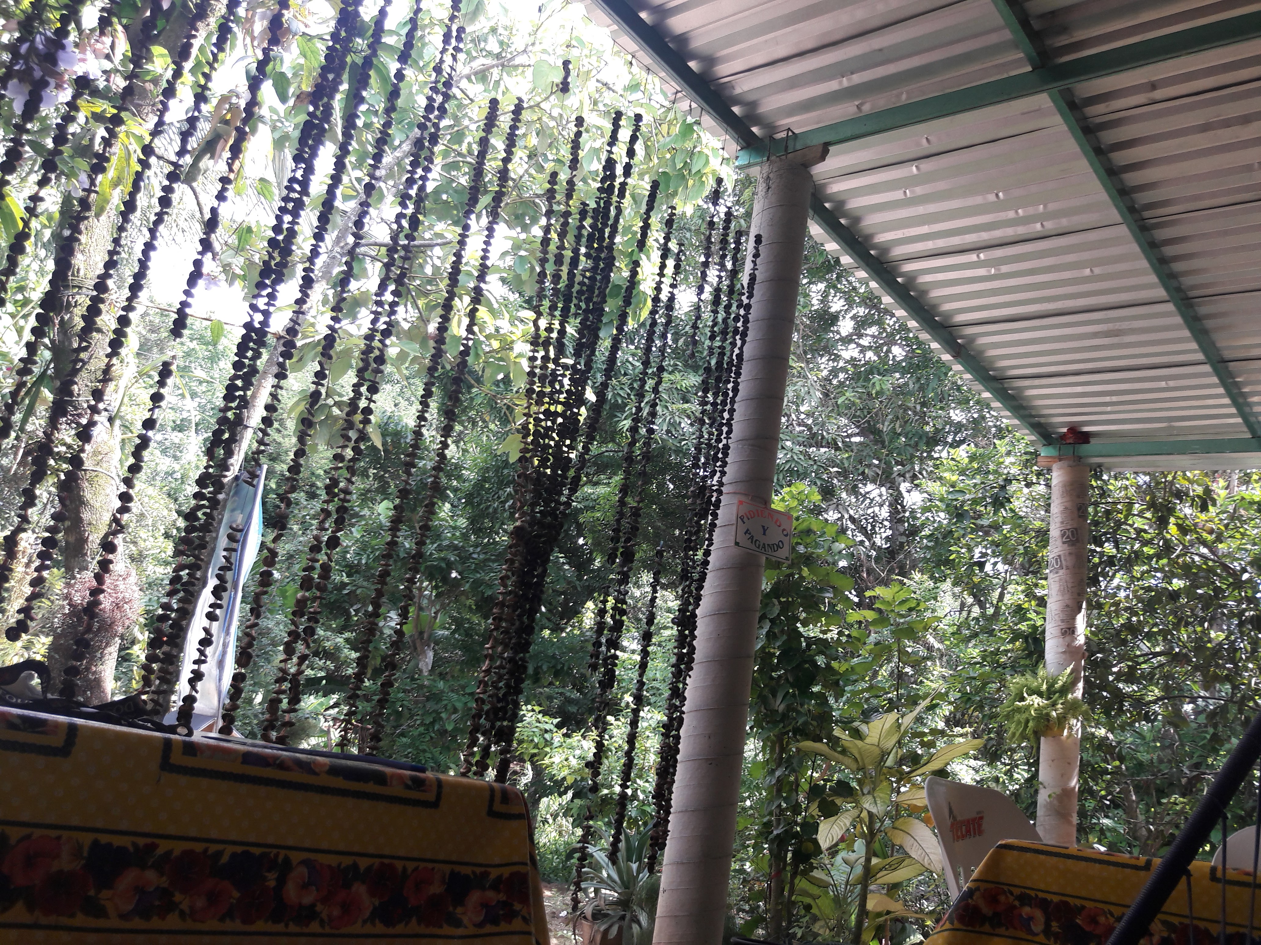 Cerveceria Laurita image 3