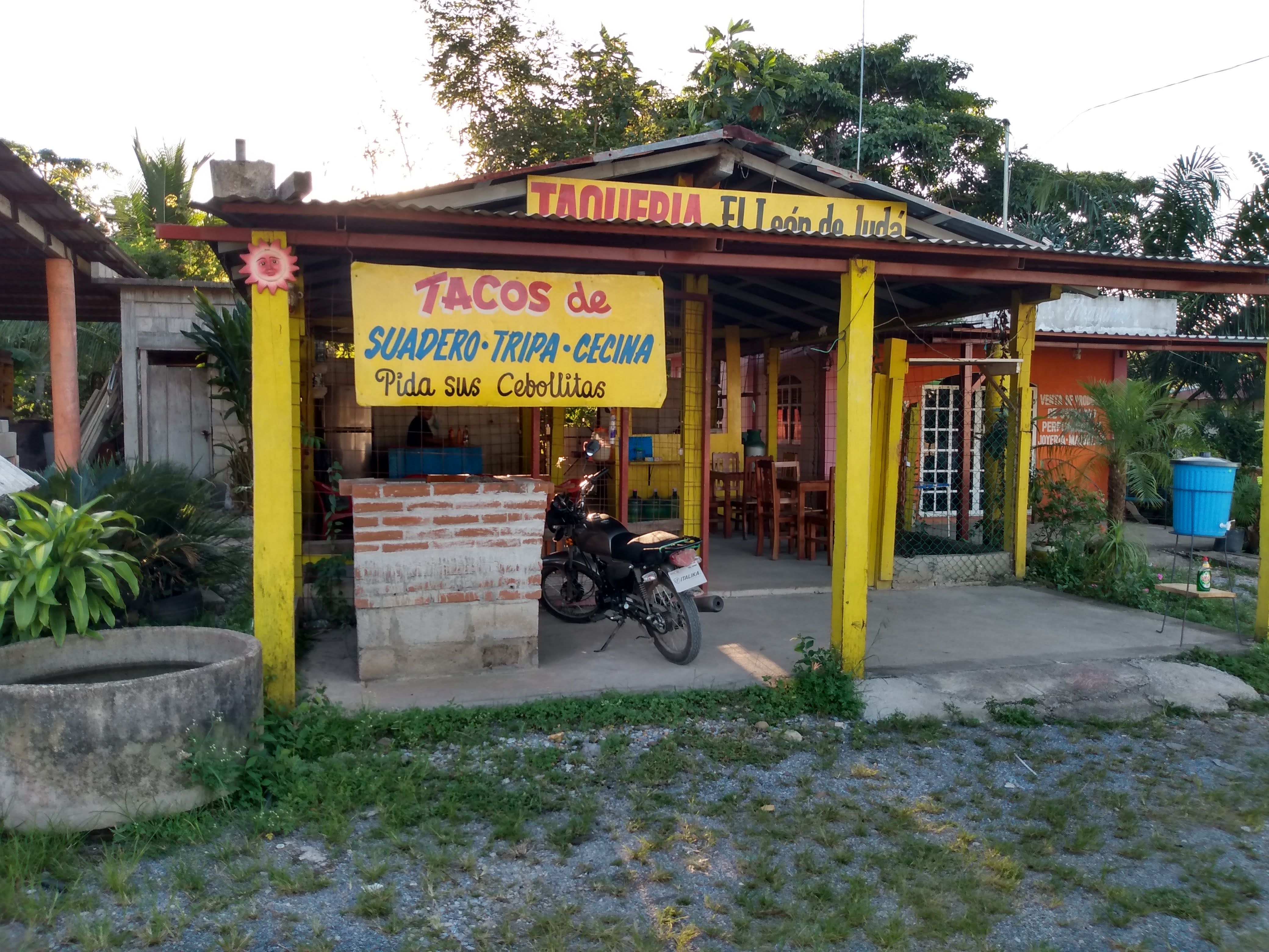 Taqueria El León de Judá image 2