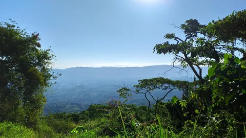 Depósito Zolueta image 2