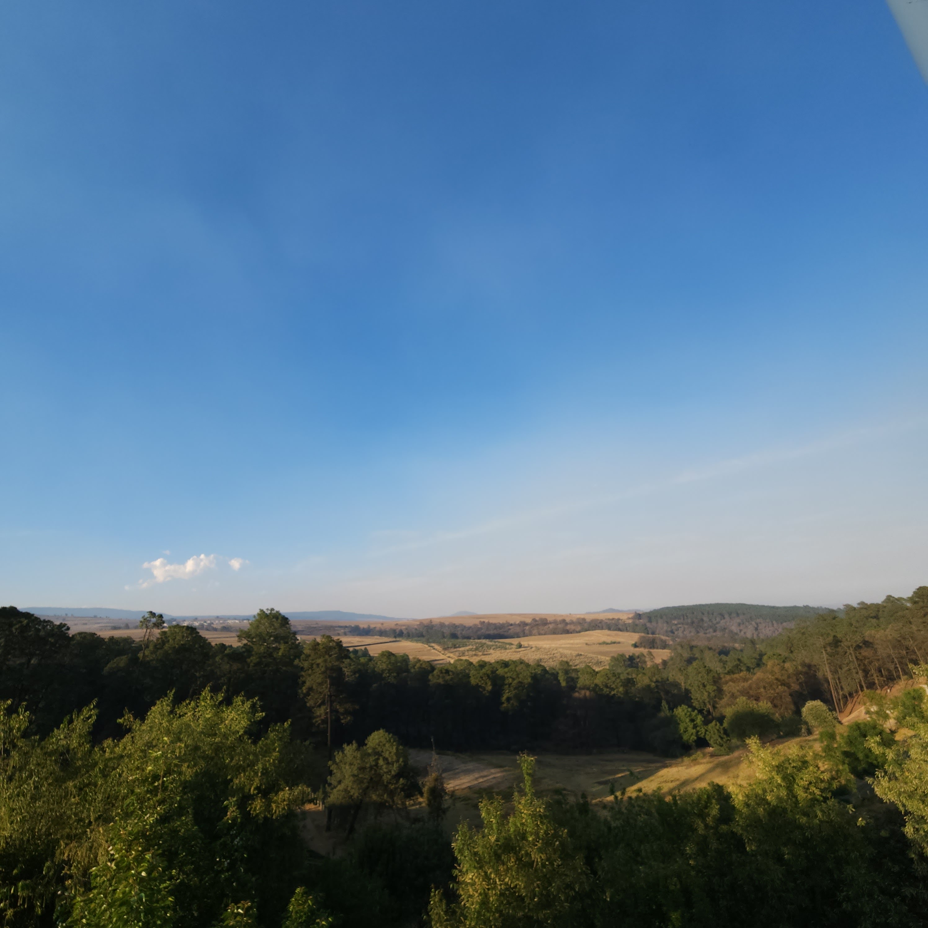 RESTAURANT NAYELY image 3