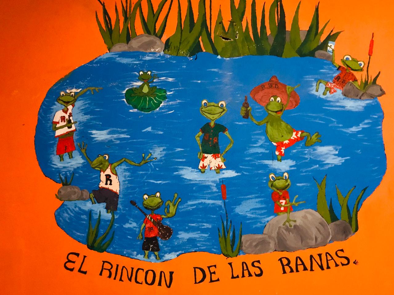 El rincón de las ranas image 1