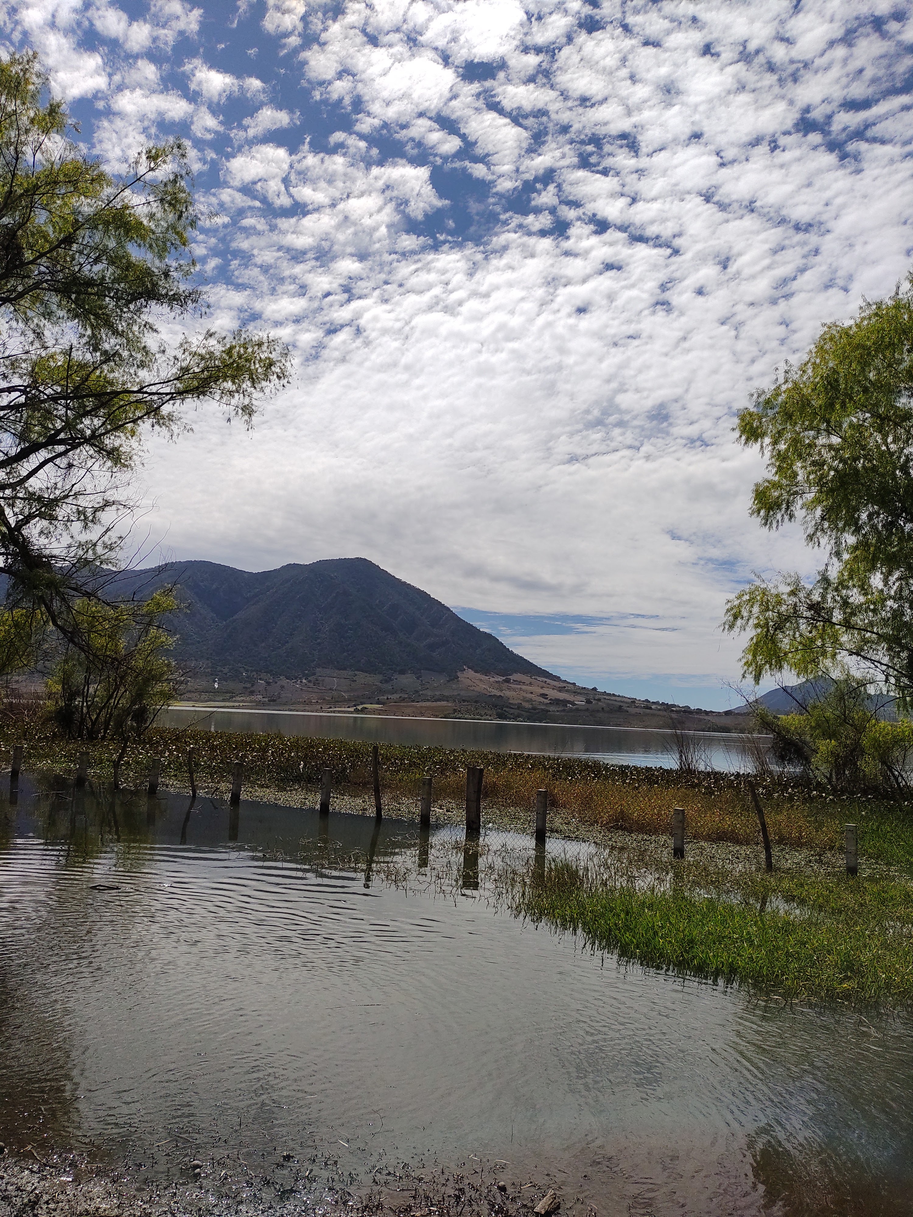 Restaurante Villa Cortés image 4
