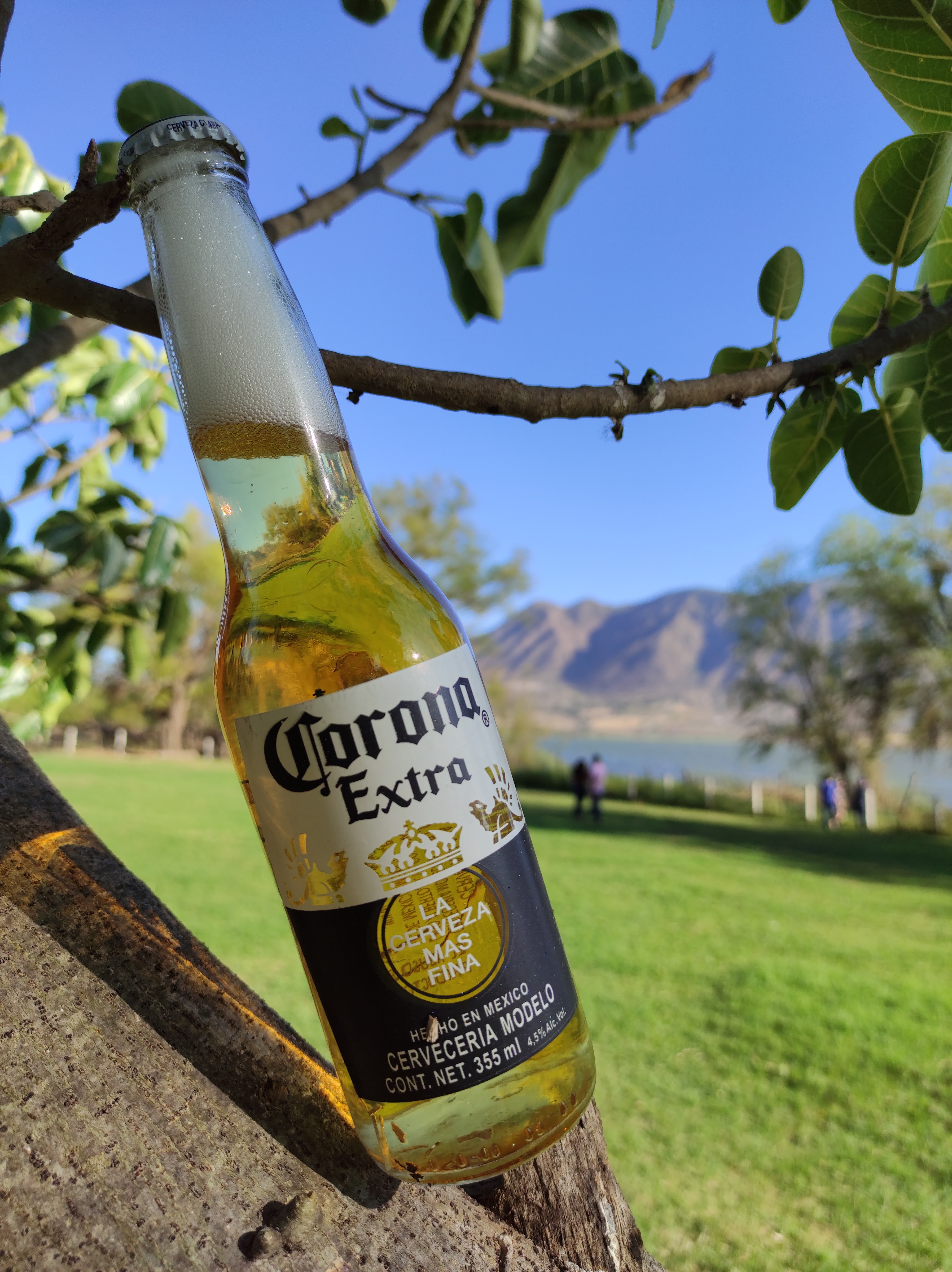 Restaurante Villa Cortés image 6