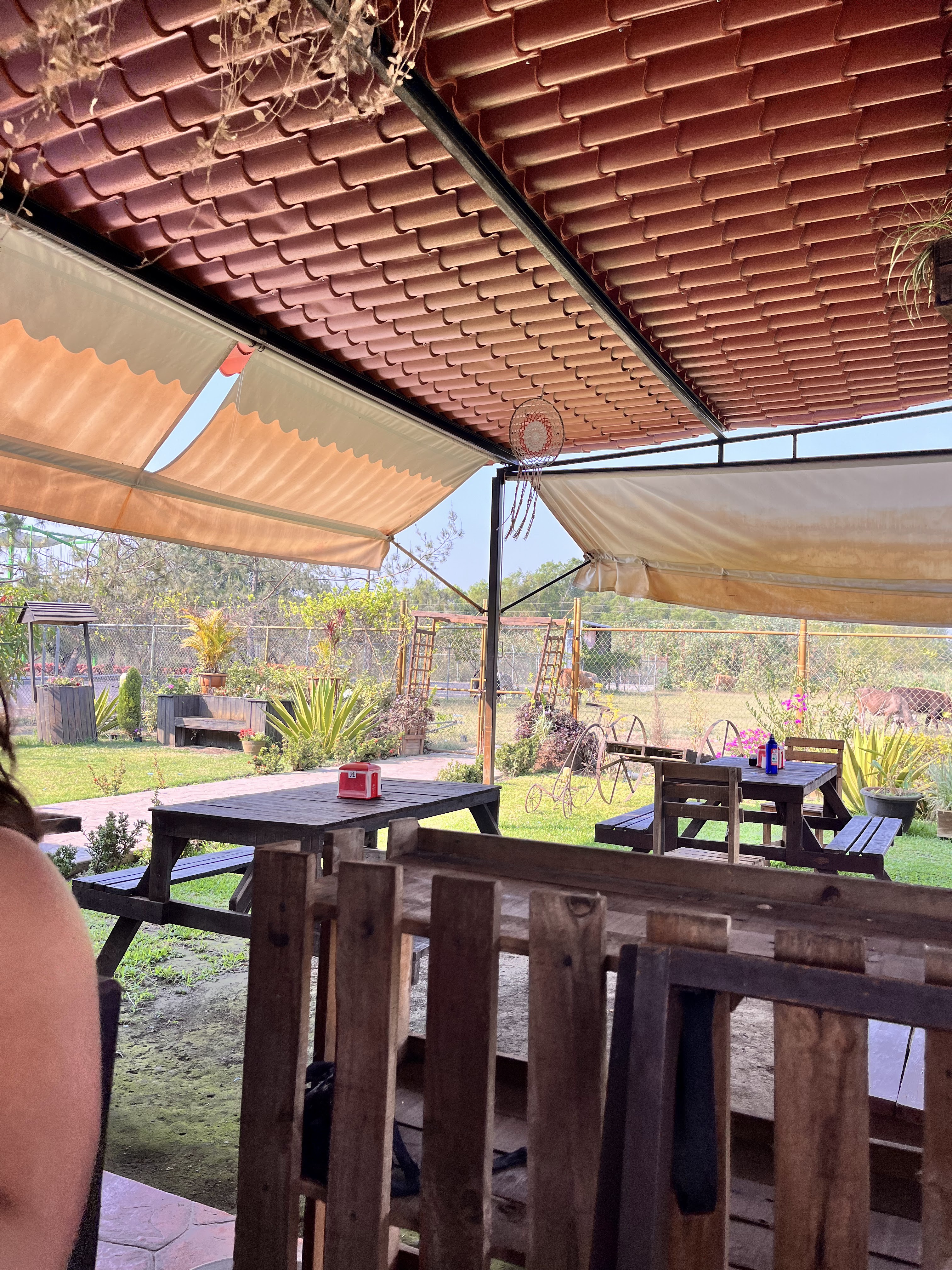 Culichis Restaurant Campestre image 7