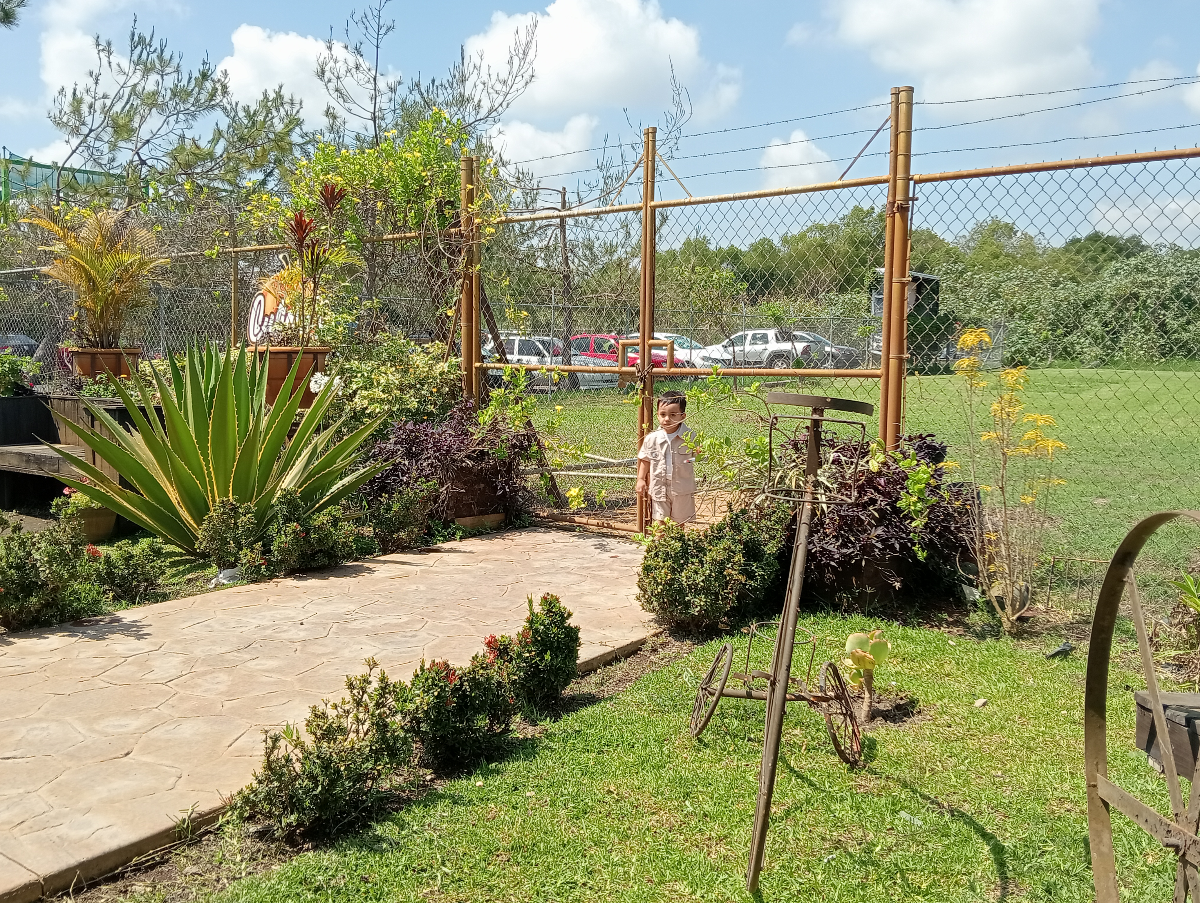 Culichis Restaurant Campestre image 8