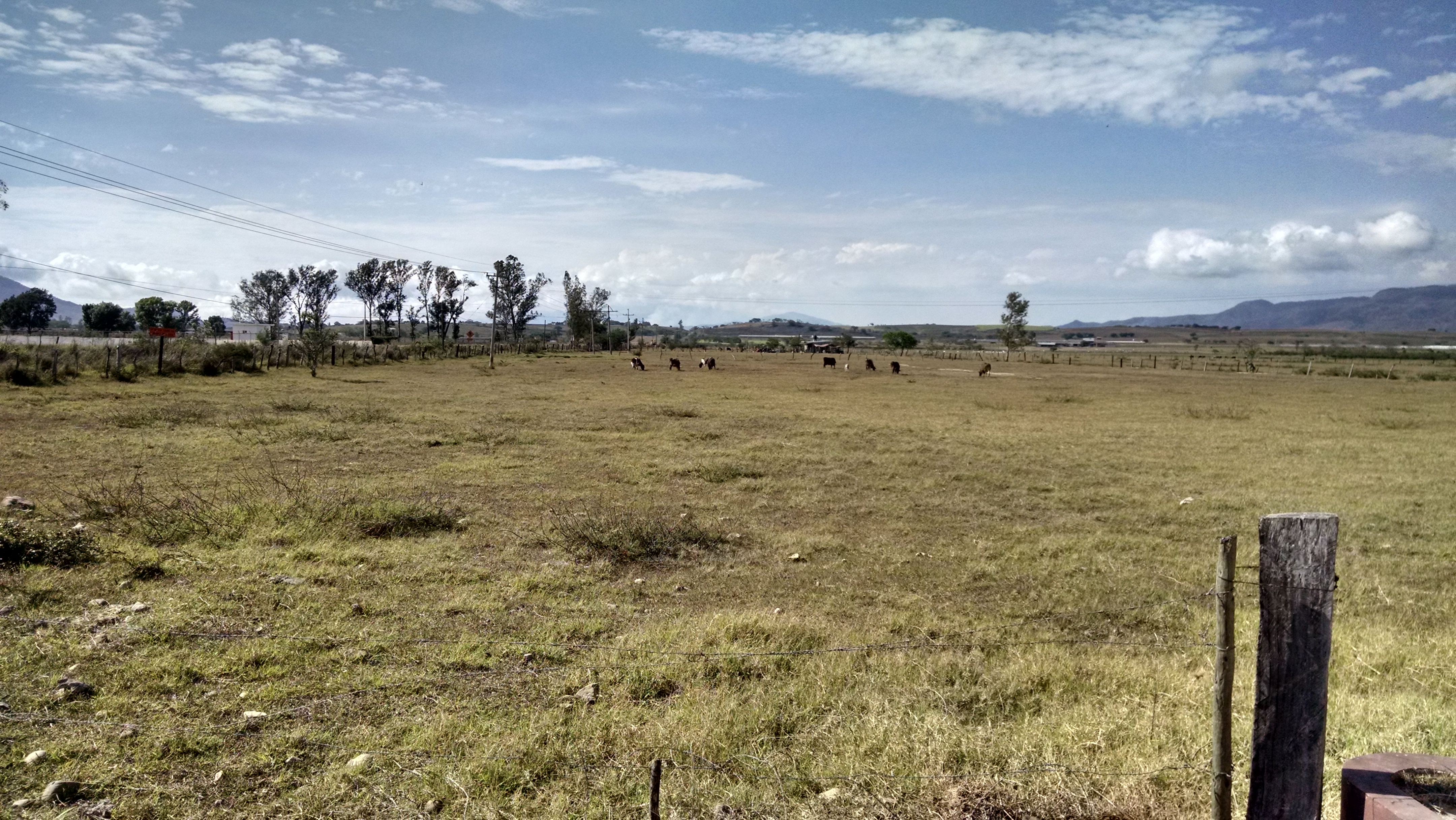 Amorcito corazón Restaurante image 7