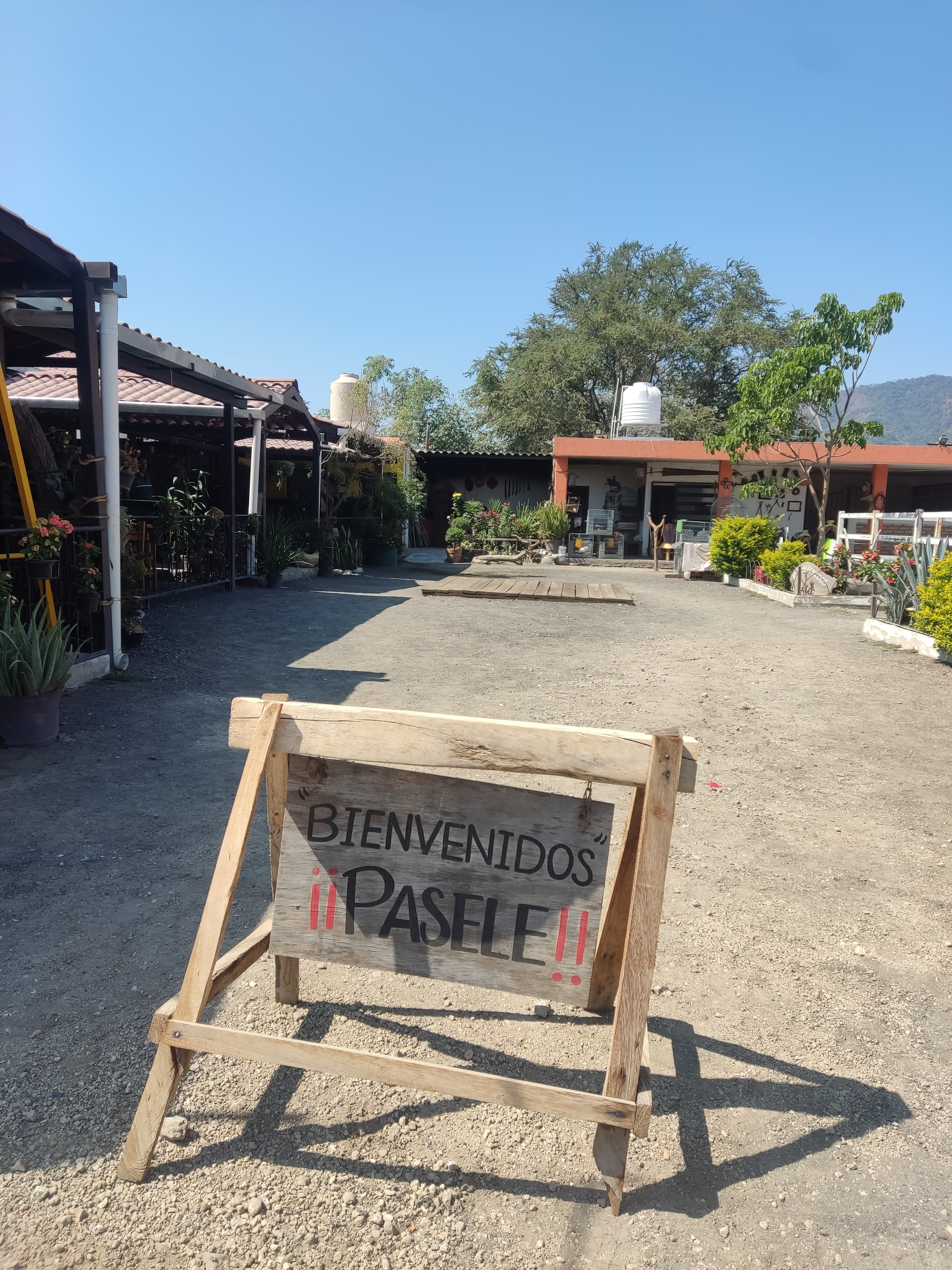 Restaurant campestre Doña Carmen image 5