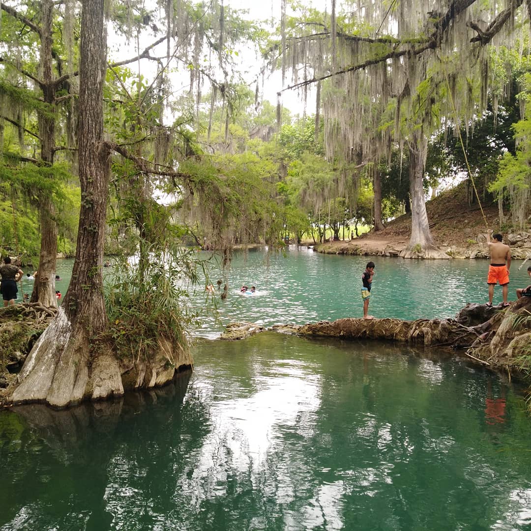 Restaurant El trampolin image 3