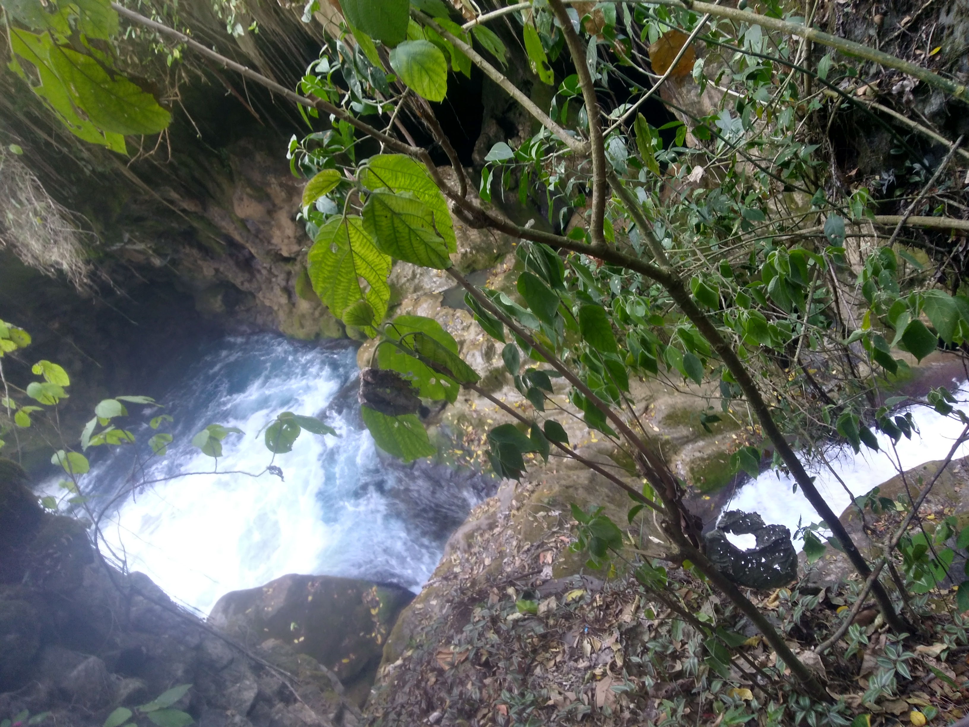 Restaurant El trampolin image 4