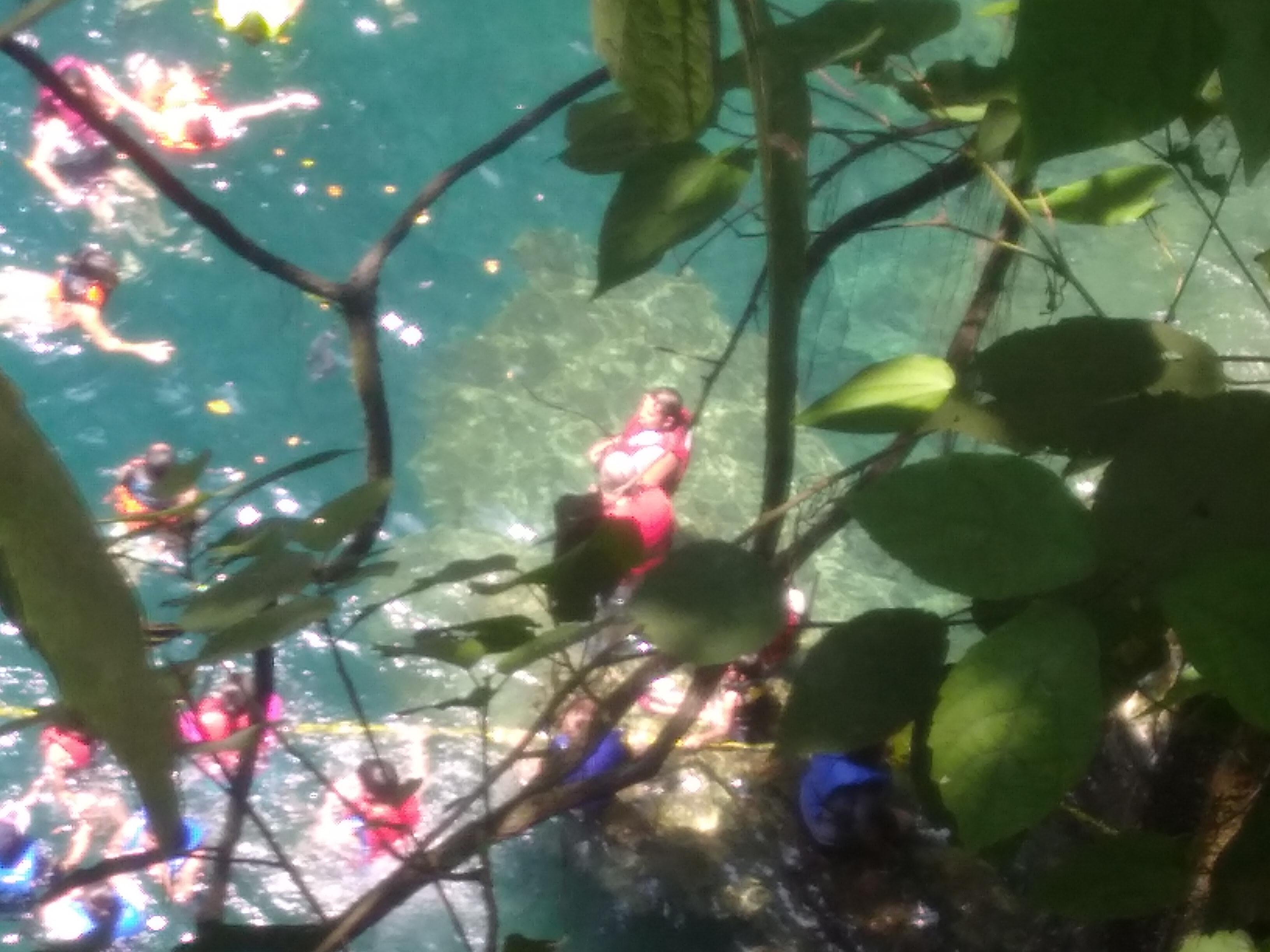 Restaurant El trampolin image 10