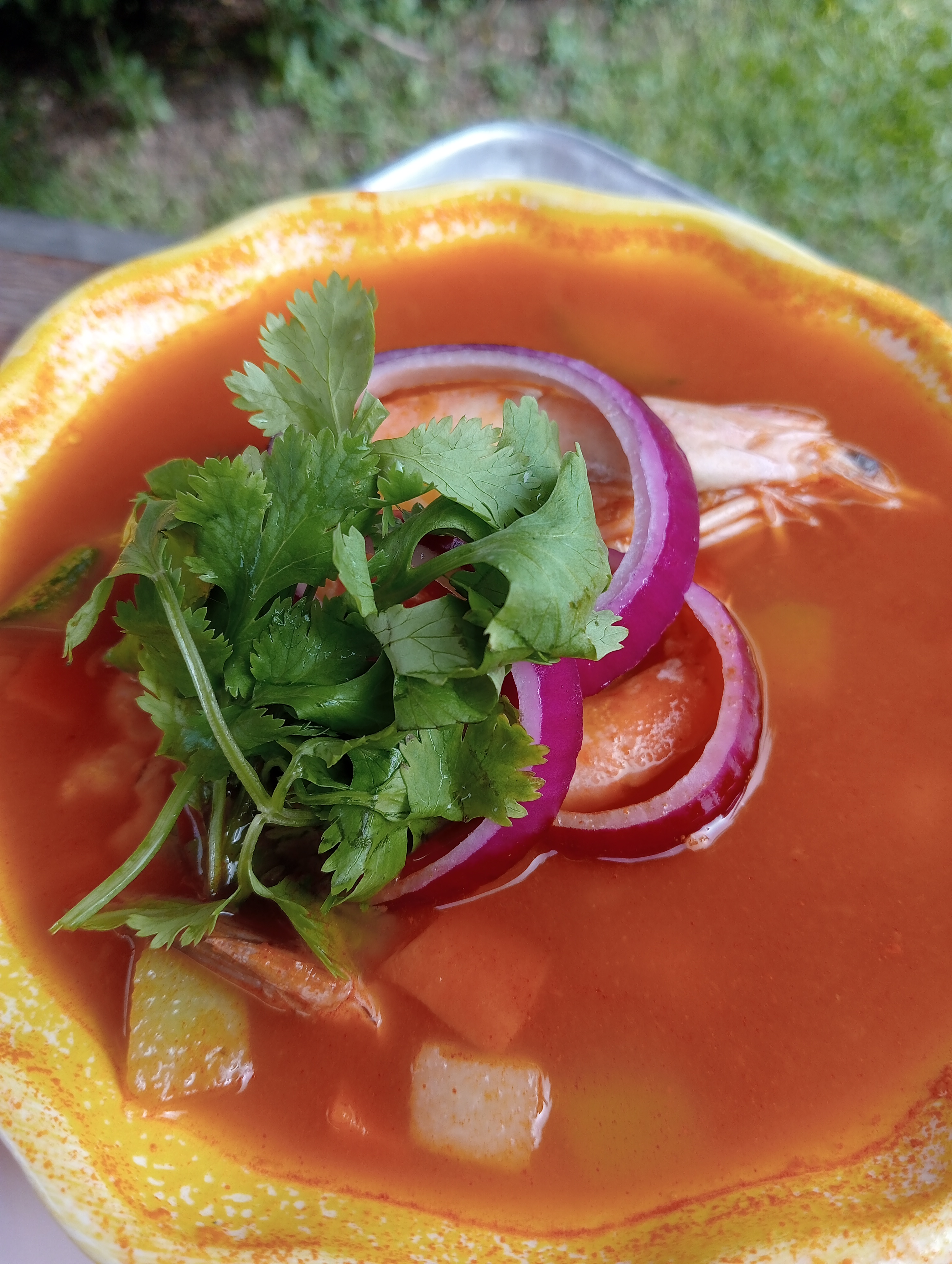 Los Montes de Canoas Rayon image 8