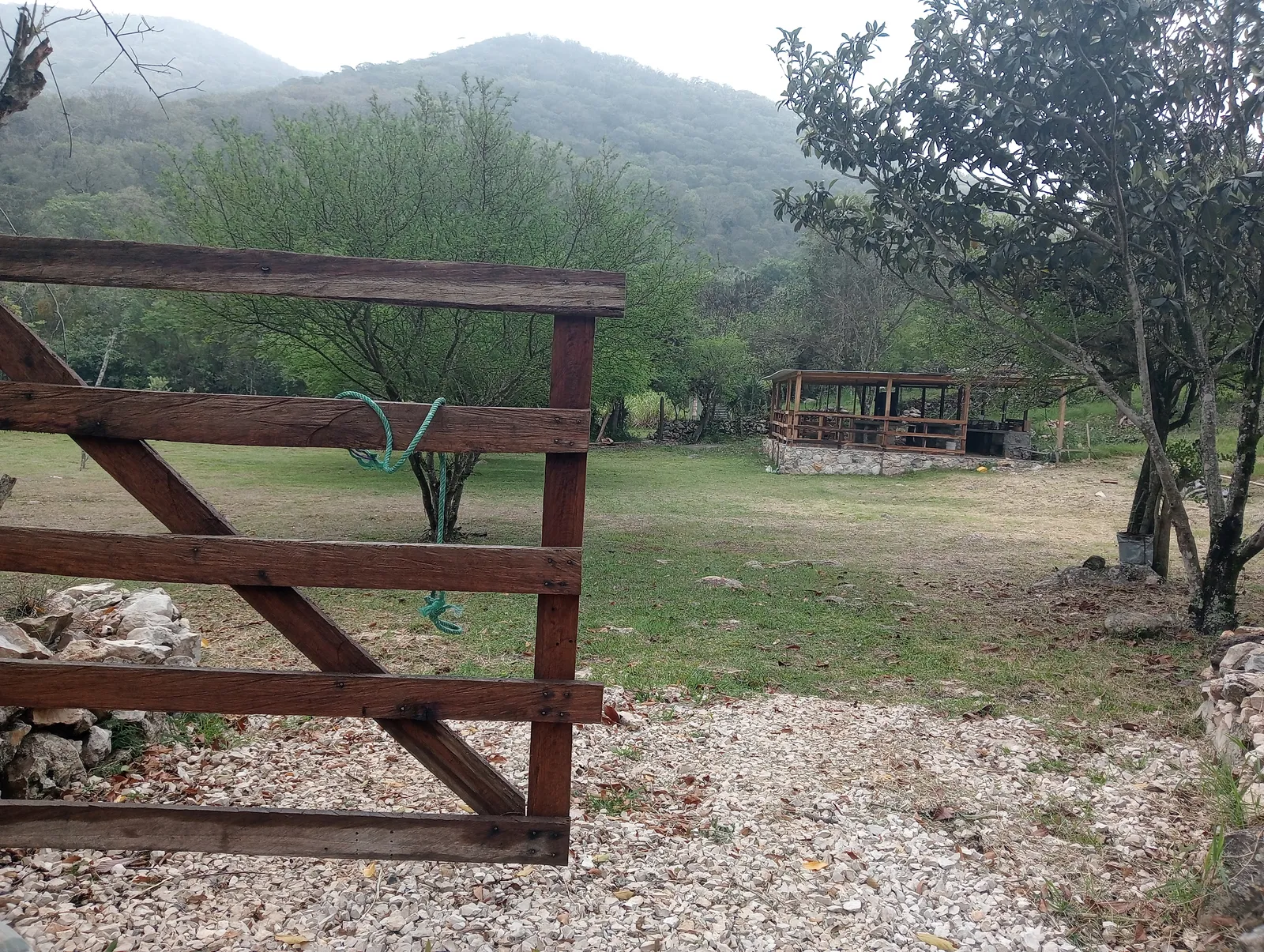 Los Montes de Canoas Rayon image 10