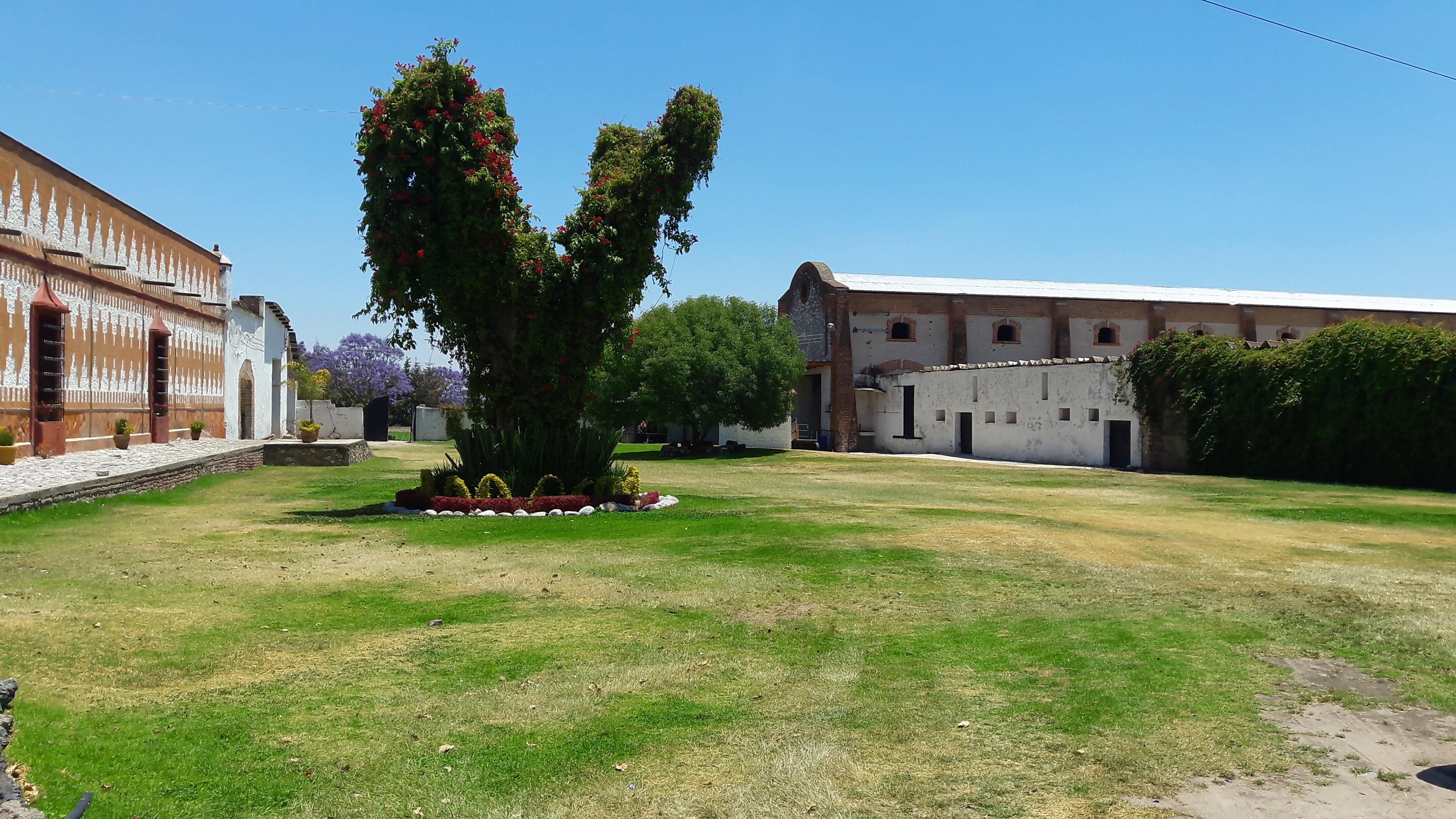 Hacienda San Pedro de Ovando image 3