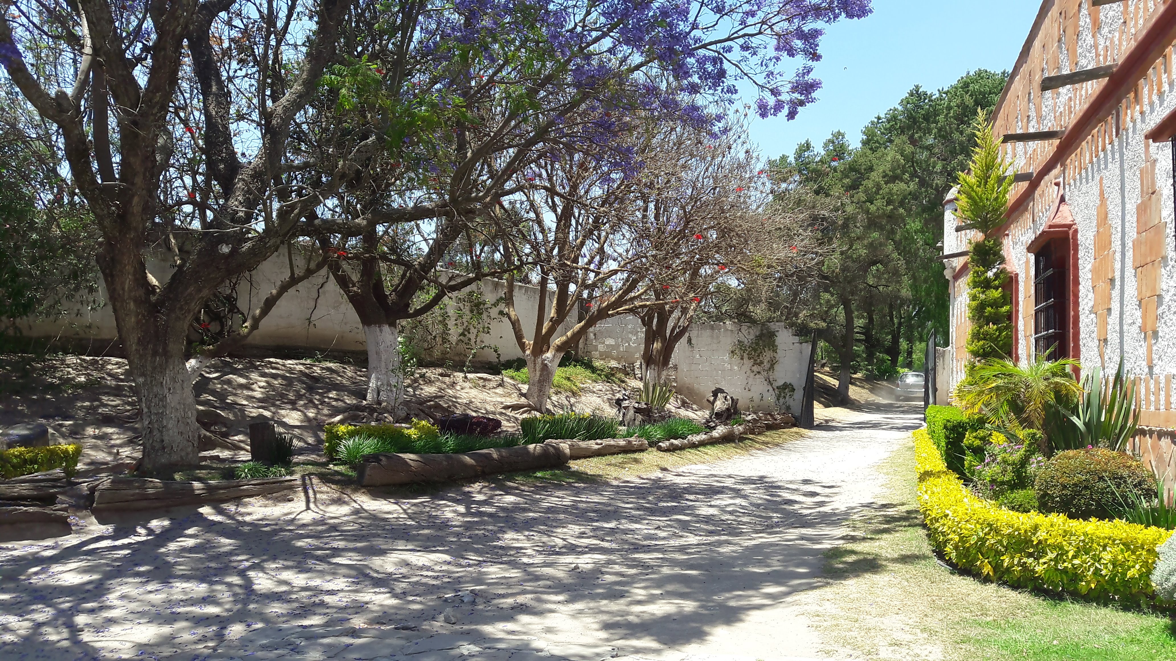 Hacienda San Pedro de Ovando image 9