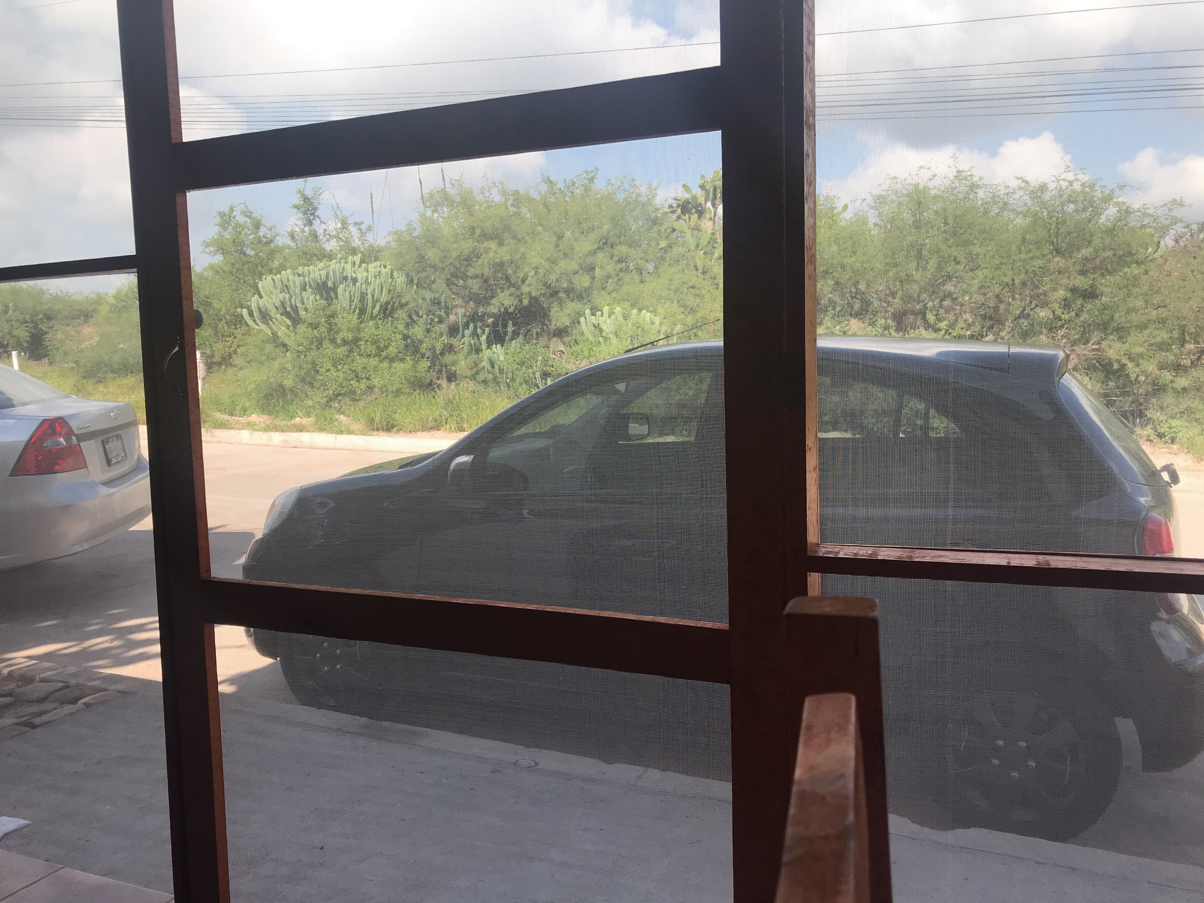 Los Garambullos image 6