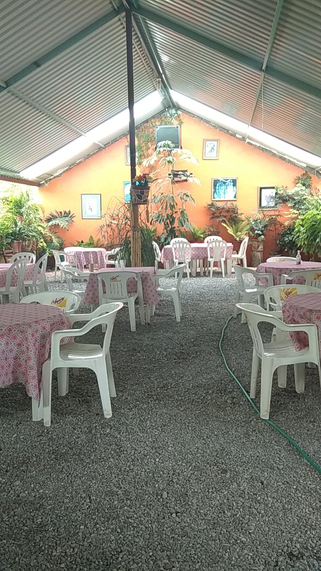 Los carrizos image 8