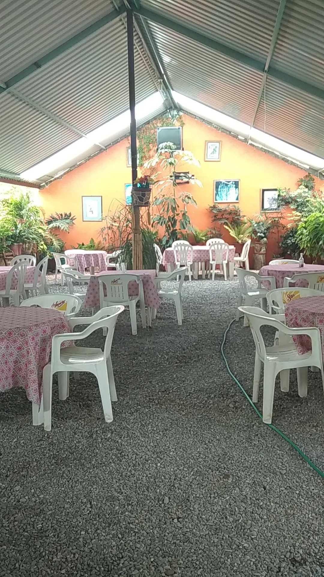 Los carrizos image 8