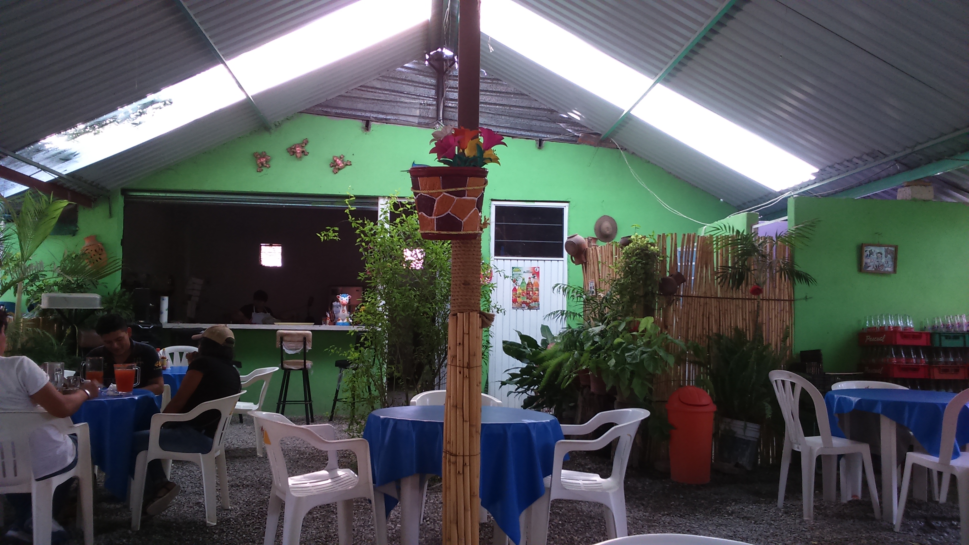 Los carrizos image 9