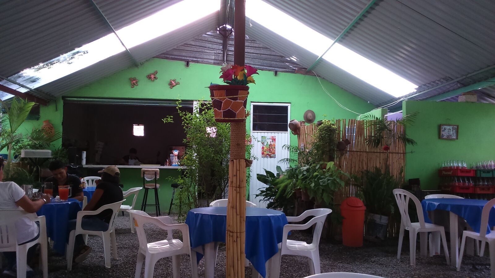 Los carrizos image 9
