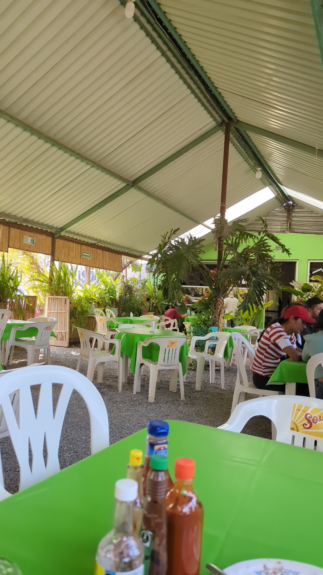 Los carrizos image 10