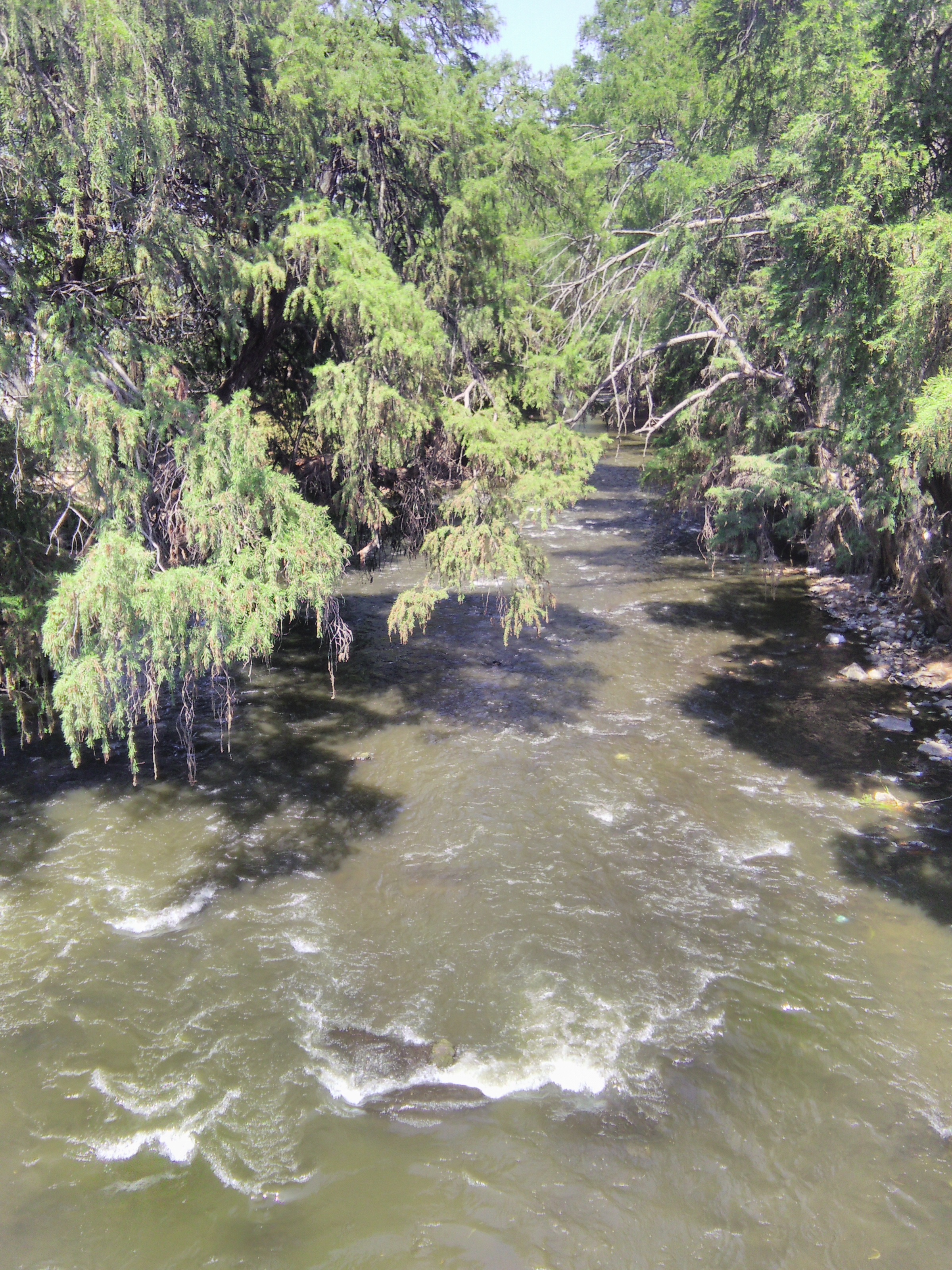 Restaurante Bar El Sabino image 9