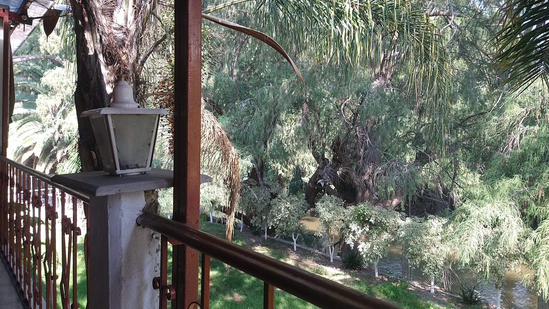 Restaurante Bar El Sabino image 10