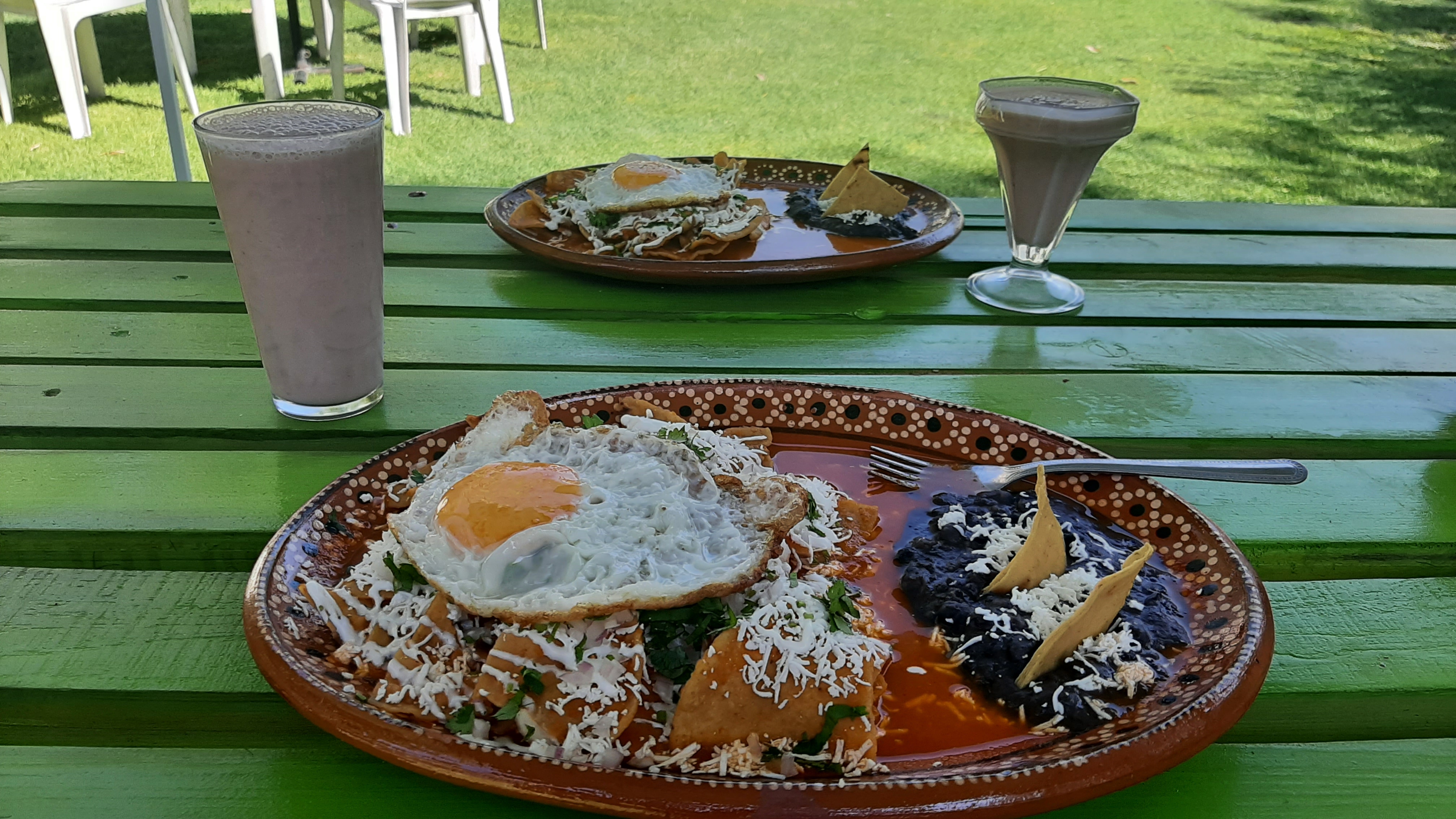 El Jardin de la 20 de Noviembre image 2