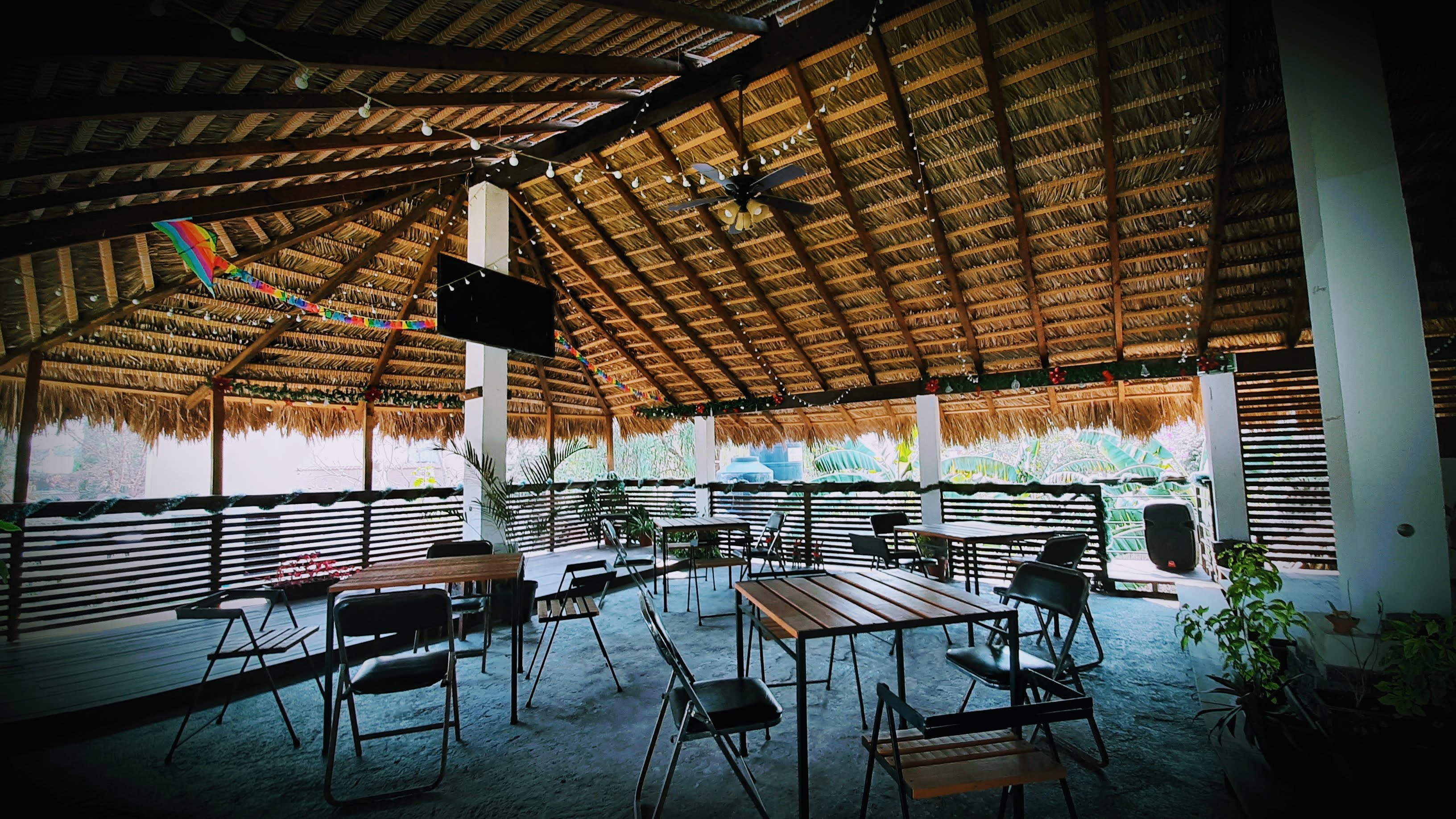 El Jardin de la 20 de Noviembre image 3