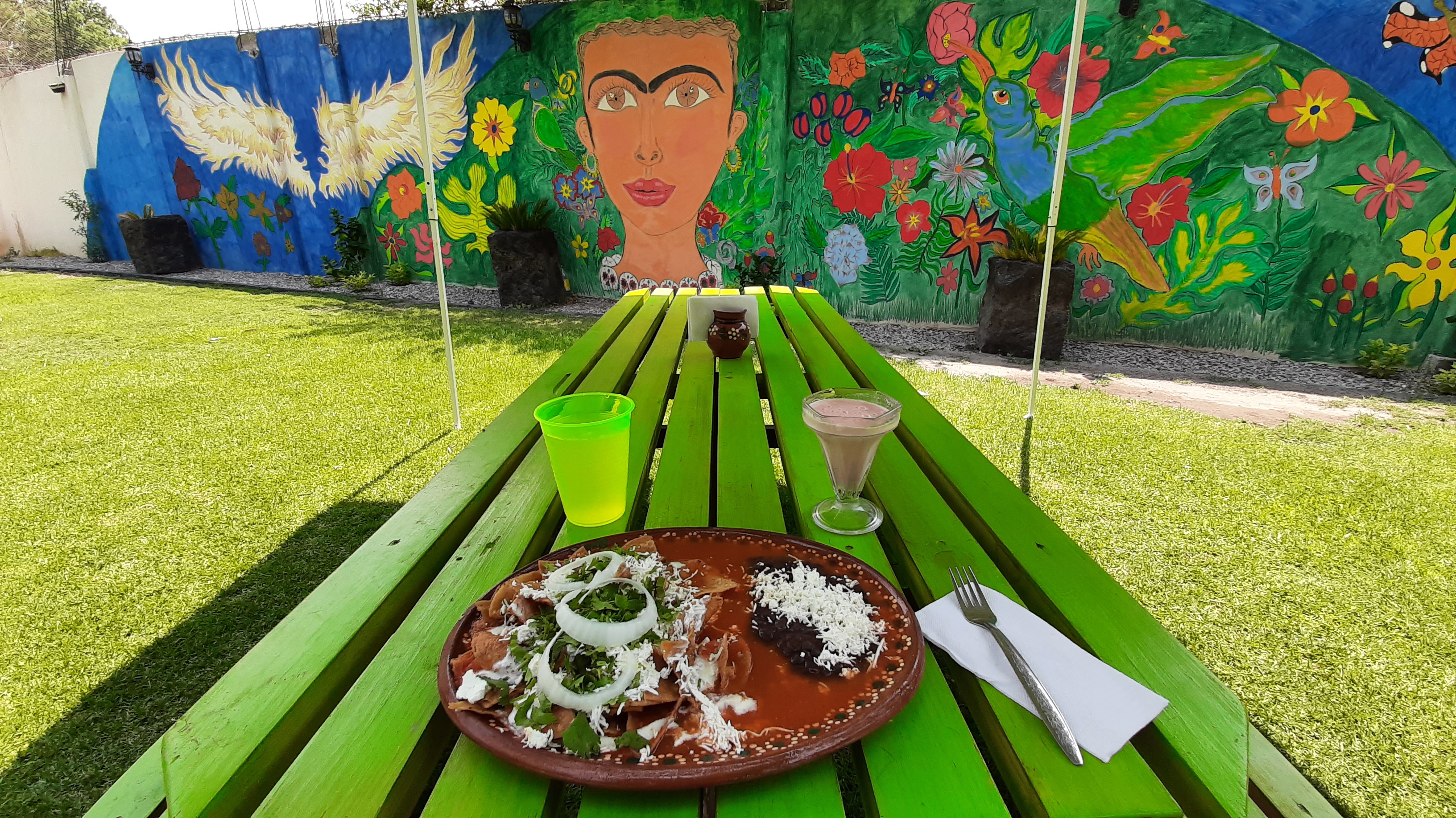 El Jardin de la 20 de Noviembre image 5