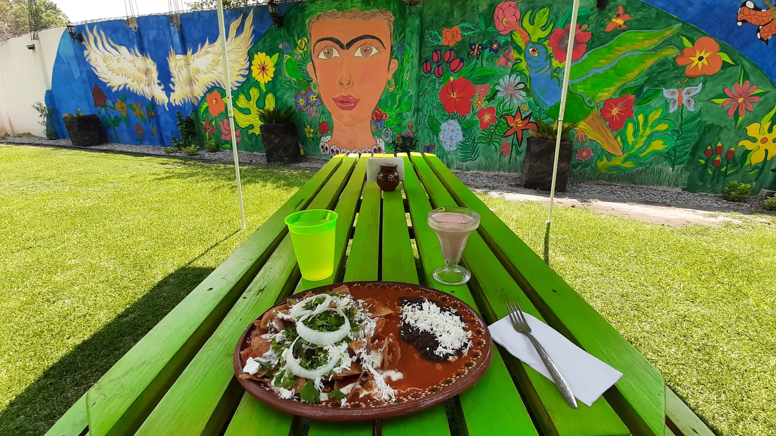 El Jardin de la 20 de Noviembre image 5