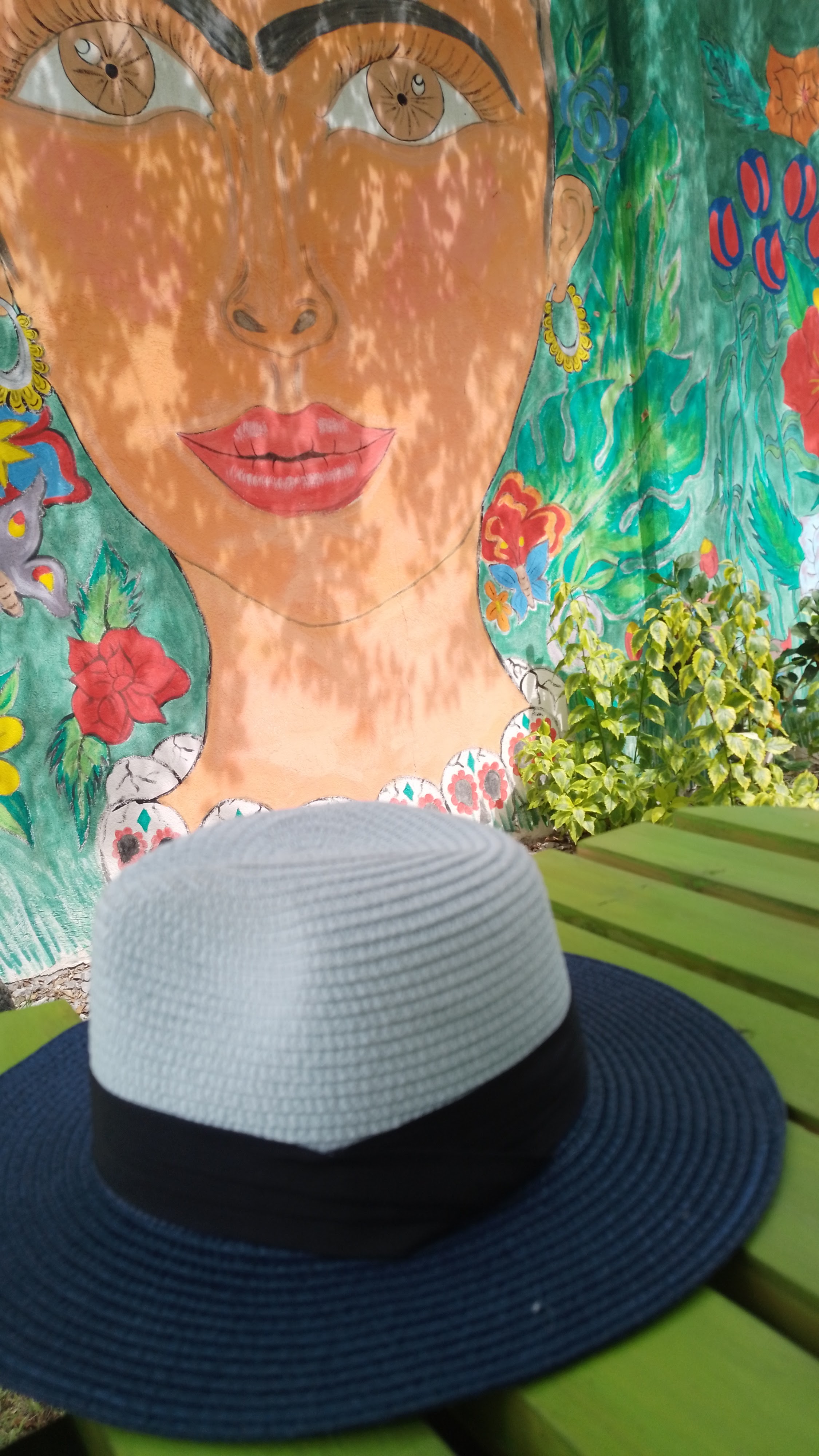 El Jardin de la 20 de Noviembre image 10