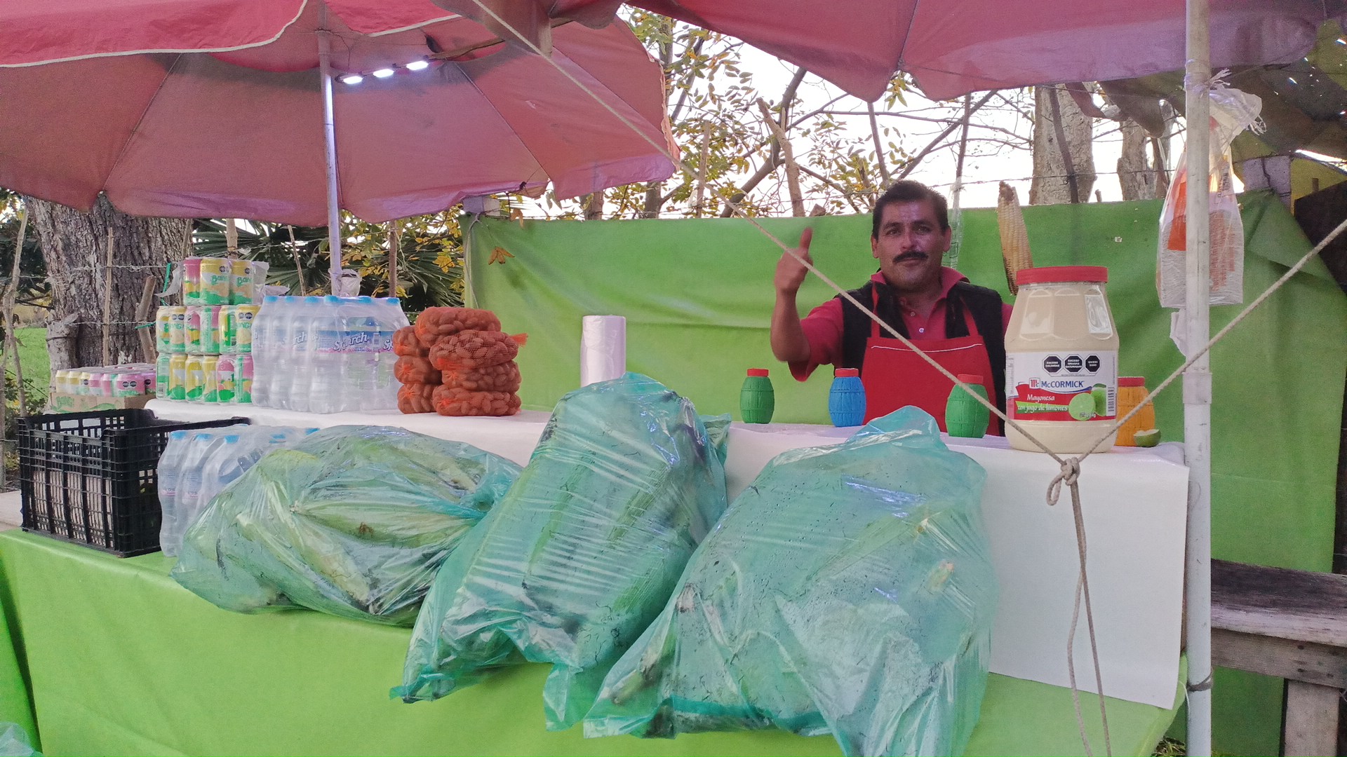 El rey del elote image 2